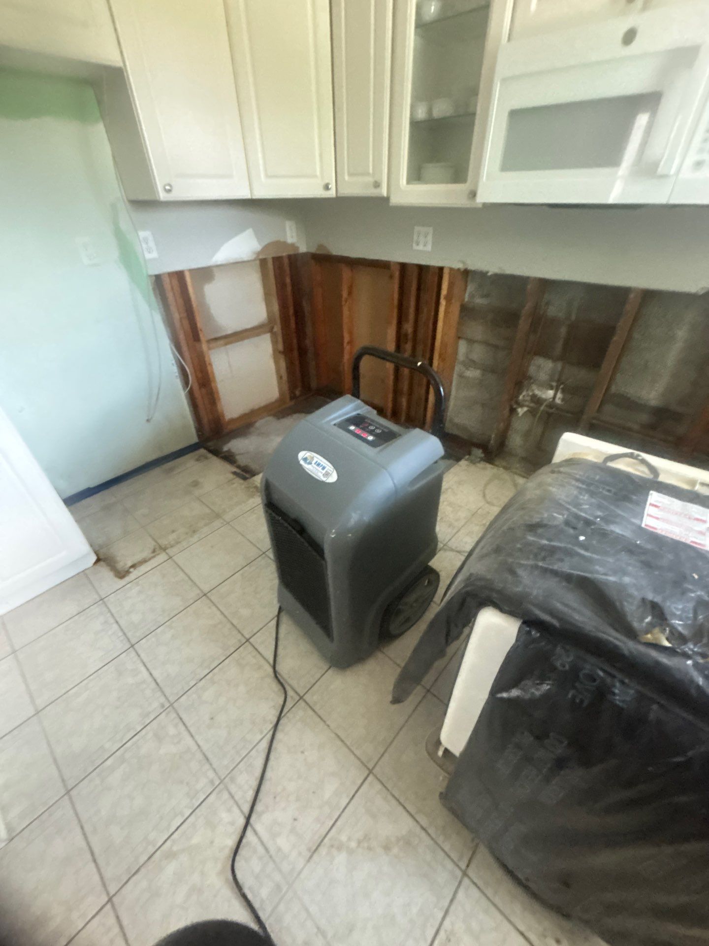 Mold Inspection & Removal by Ampm Restoration Services