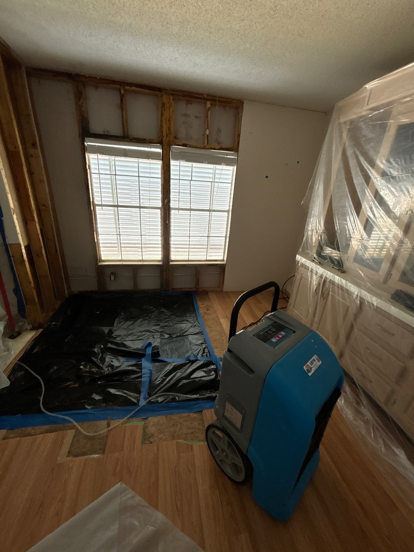 Mold Remediation Palmetto by Ampm Restoration Services 