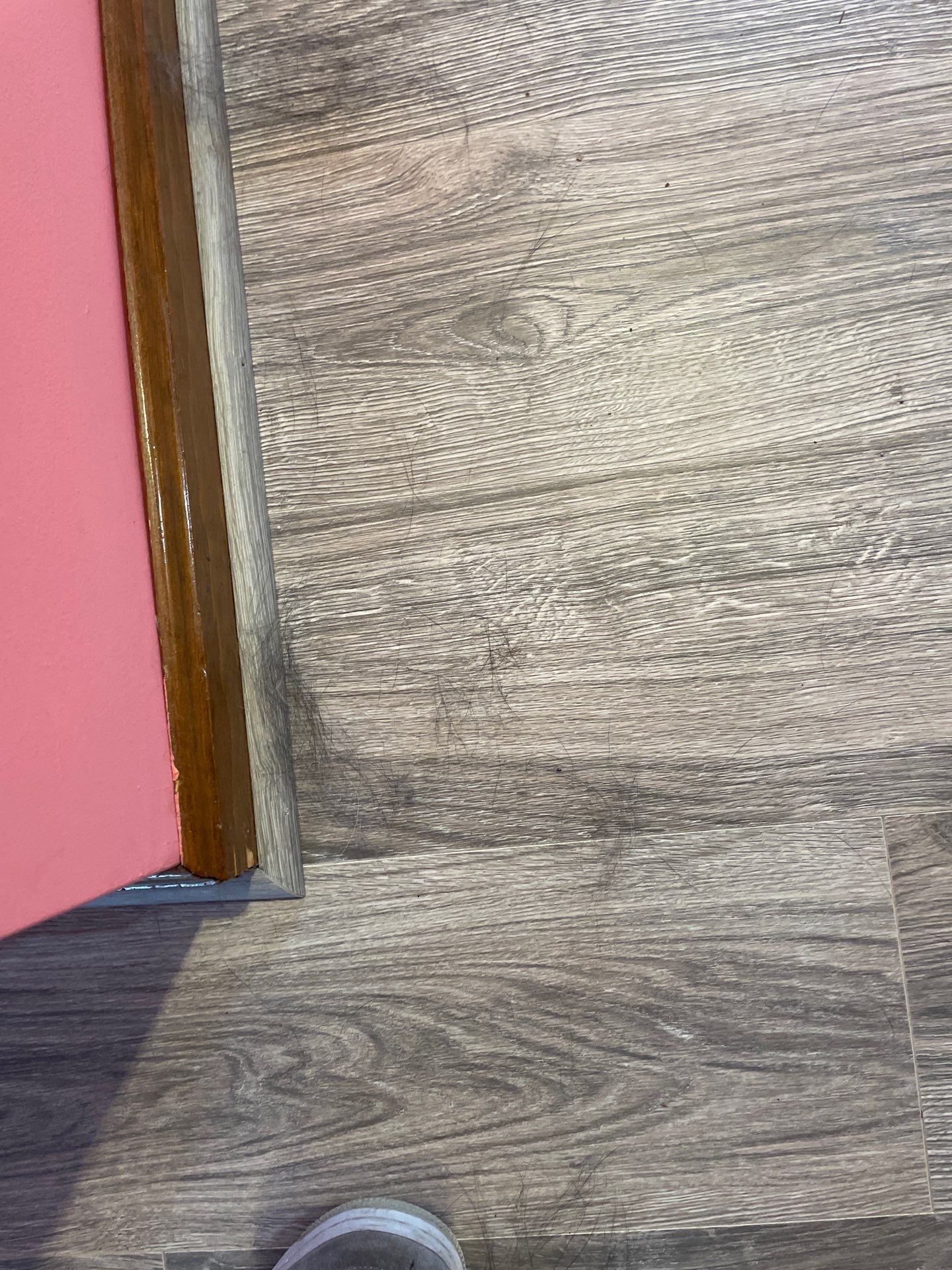 Project in Worcester by Mg House Cleaning Services 