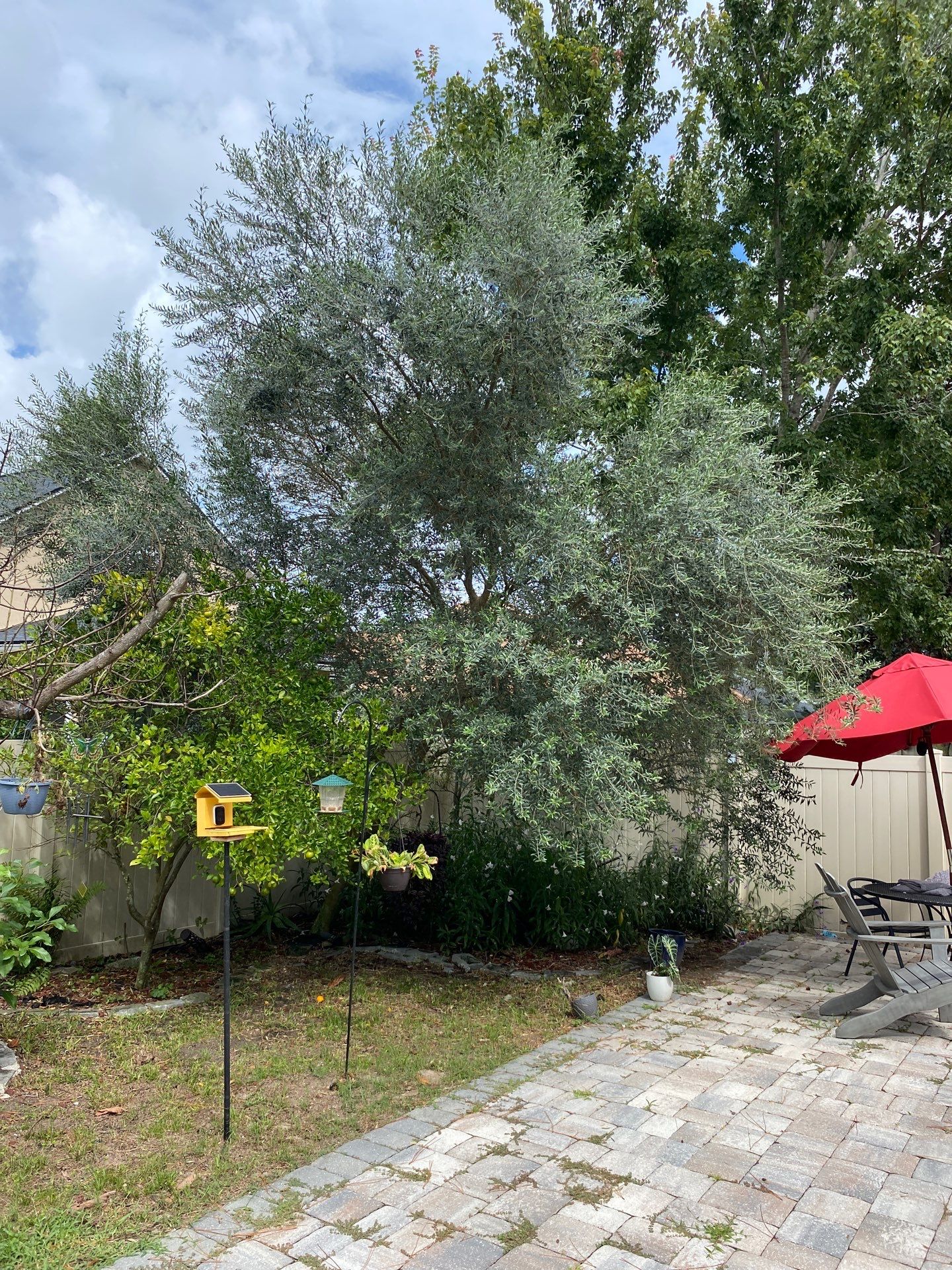 Property Clean Up | Residential by ProGreen Services