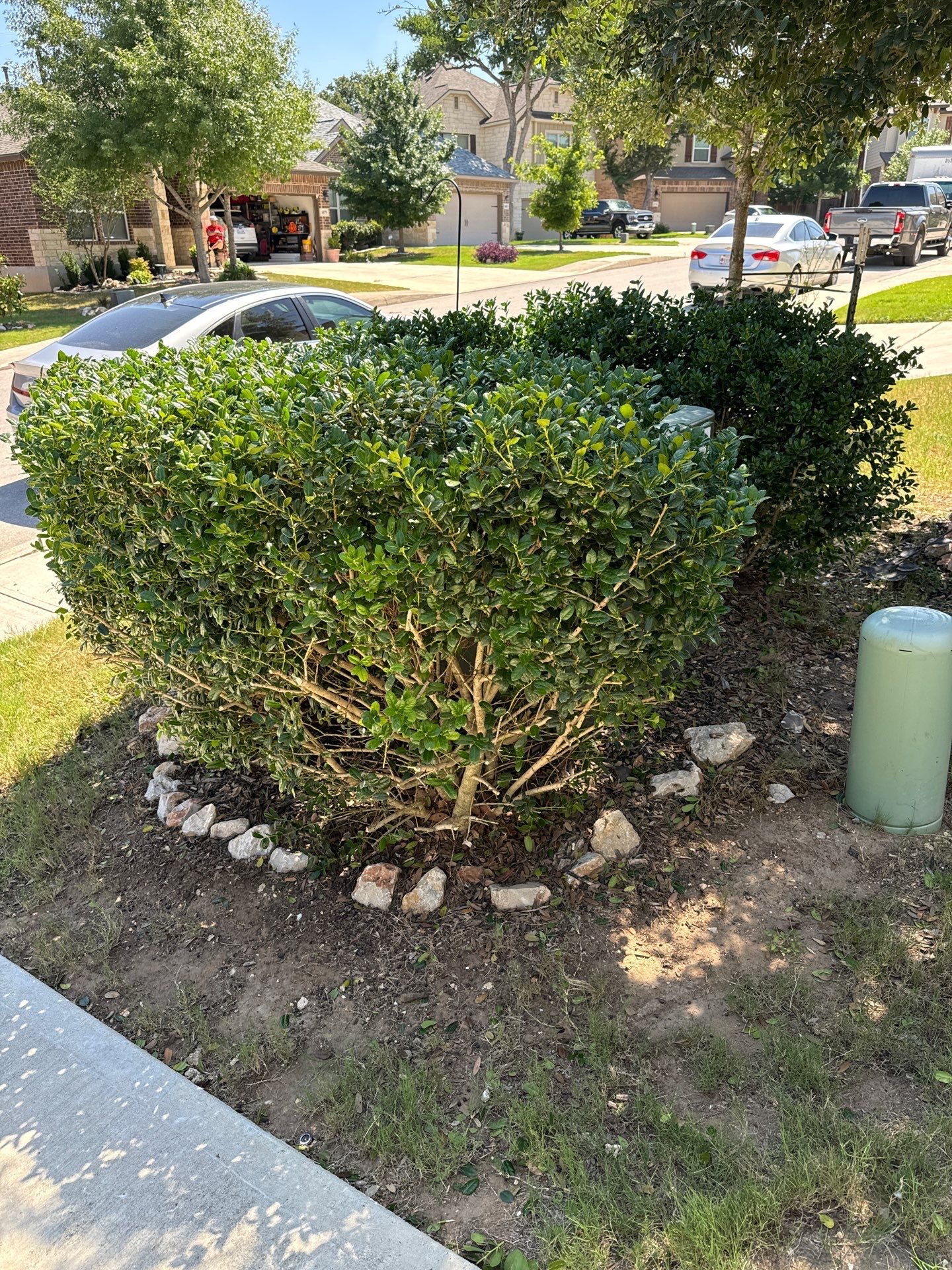 Wortham Oaks - San Antonio, TX by Hole In One Lawns, LLC