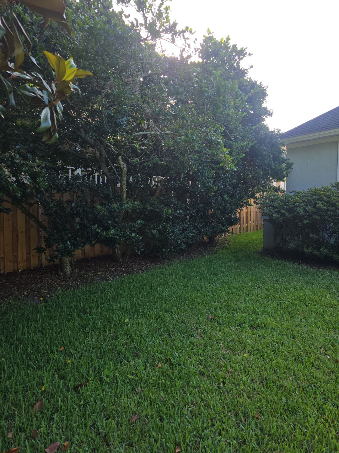 Deerwood Resident | Tree Trimming by ProGreen Services