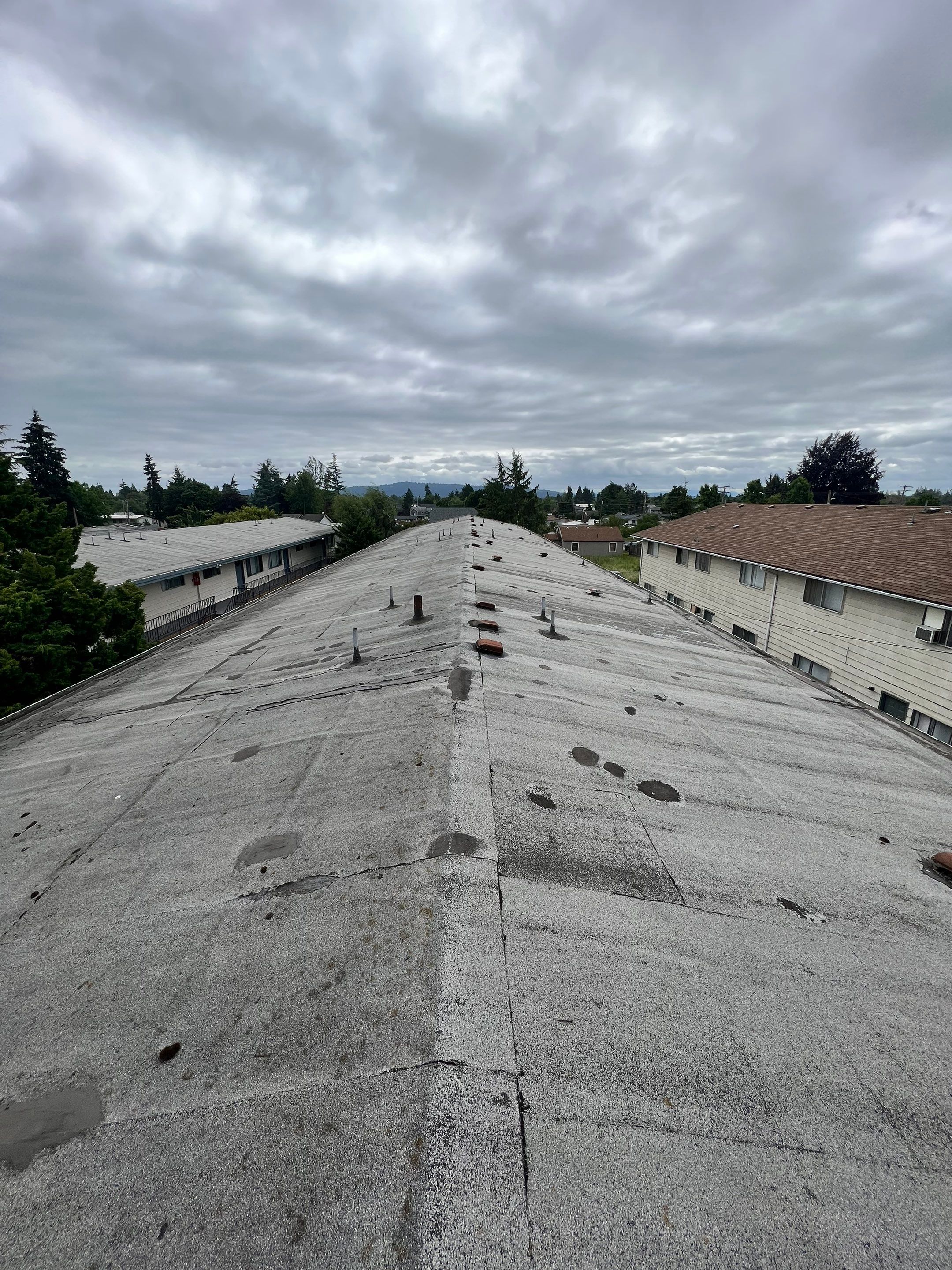 Commercial Flat Roof Installation using GAF 60Mil TPO  by Orezona Building & Roofing Company, Inc.