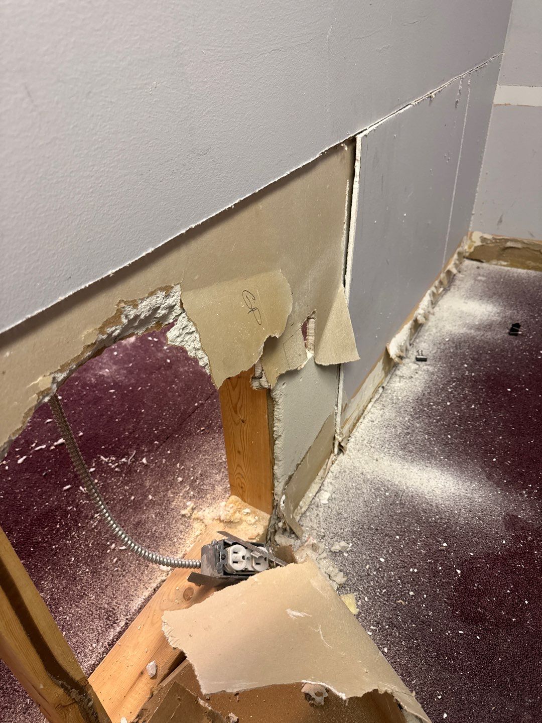 Project in Commerce Twp by EzDry Water Mitigation & Property Restoration