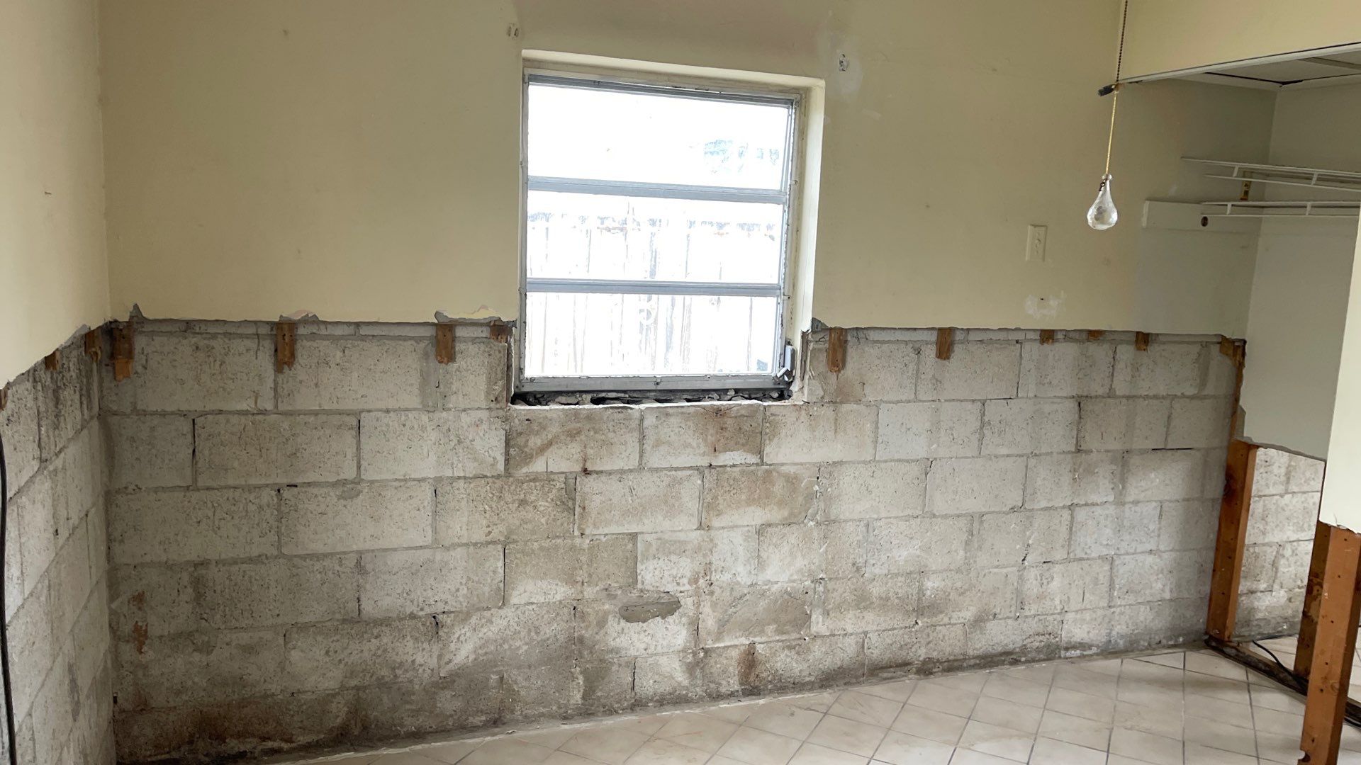 Mold Remediation  by THE RAPID TEAM