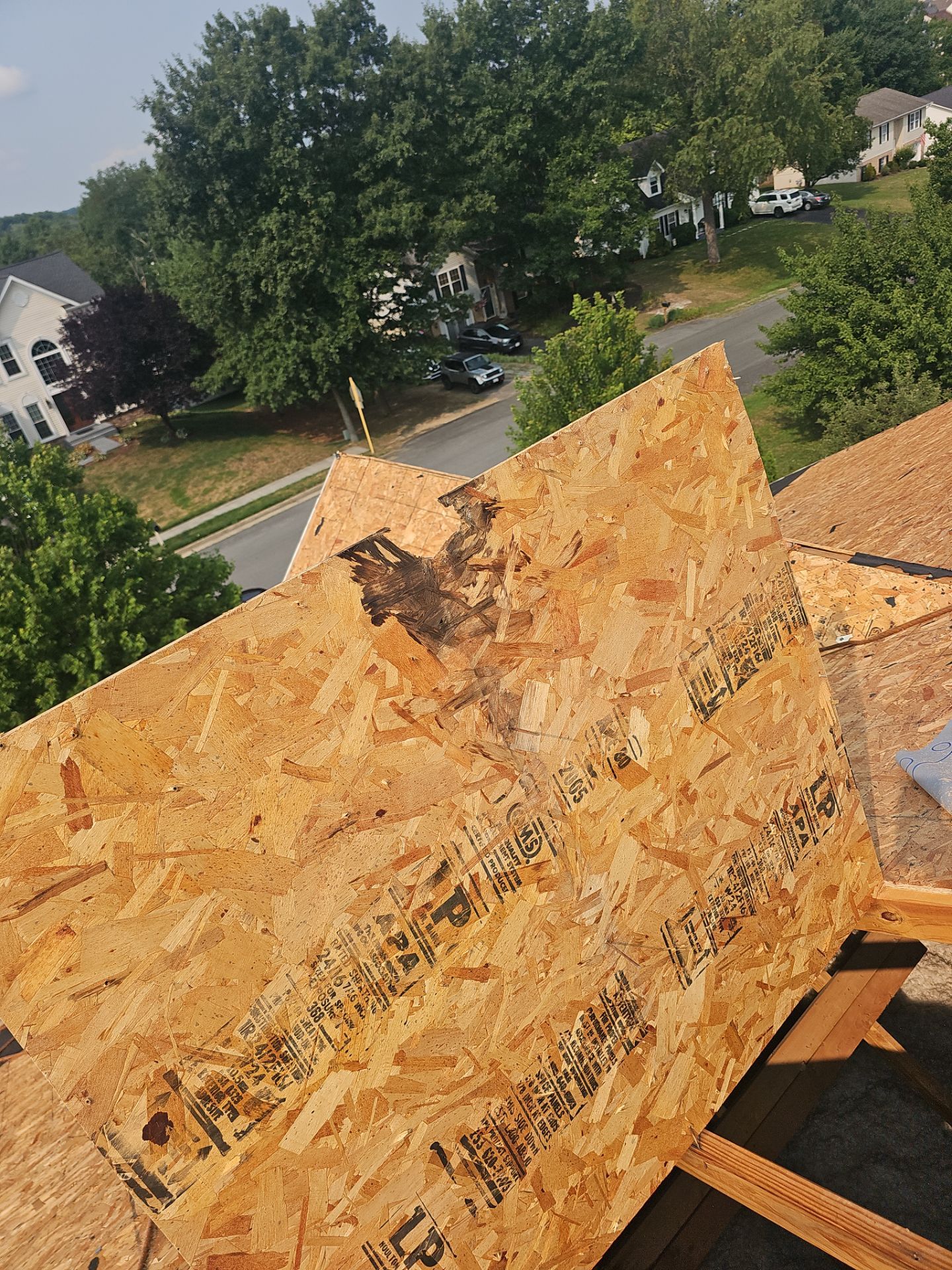 Roof Replacement - Charcoal Black by Winchester Roofing