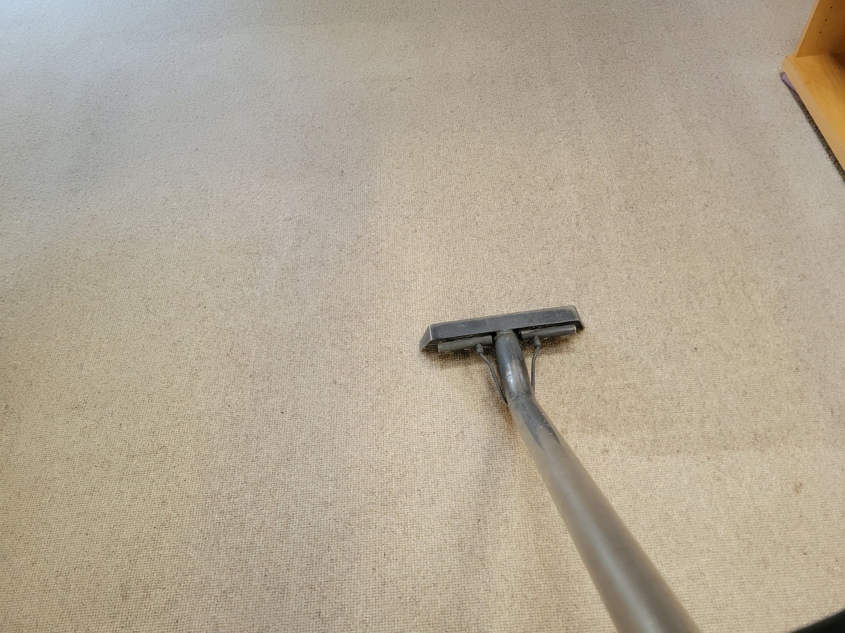 Repair and Cleaning of Wool Carpeting by Ardent Carpet Restore LLC