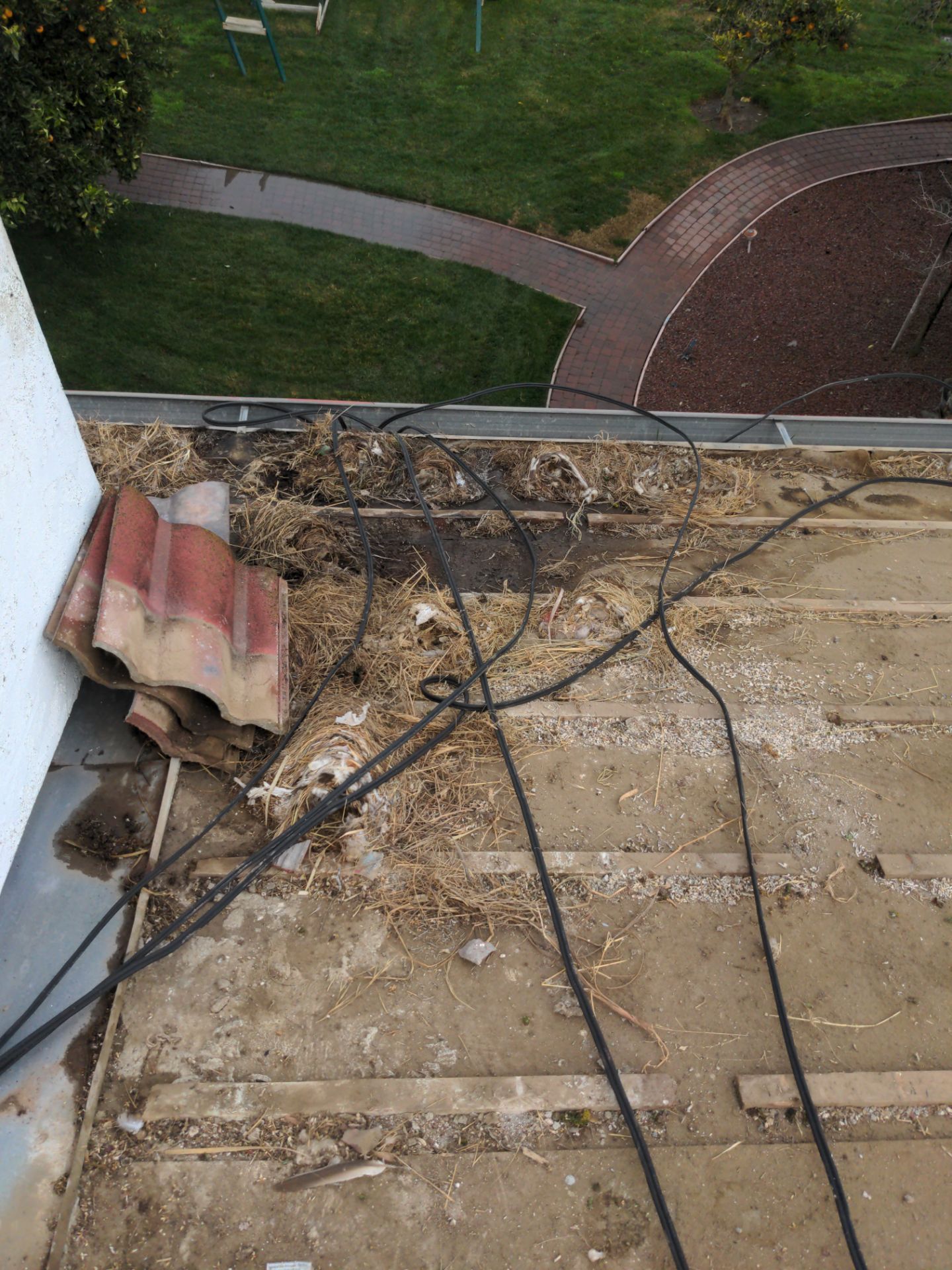 Tile refurbish project using existing tiles and replaced underlayment and battens by Straight Edge Roofing Inc