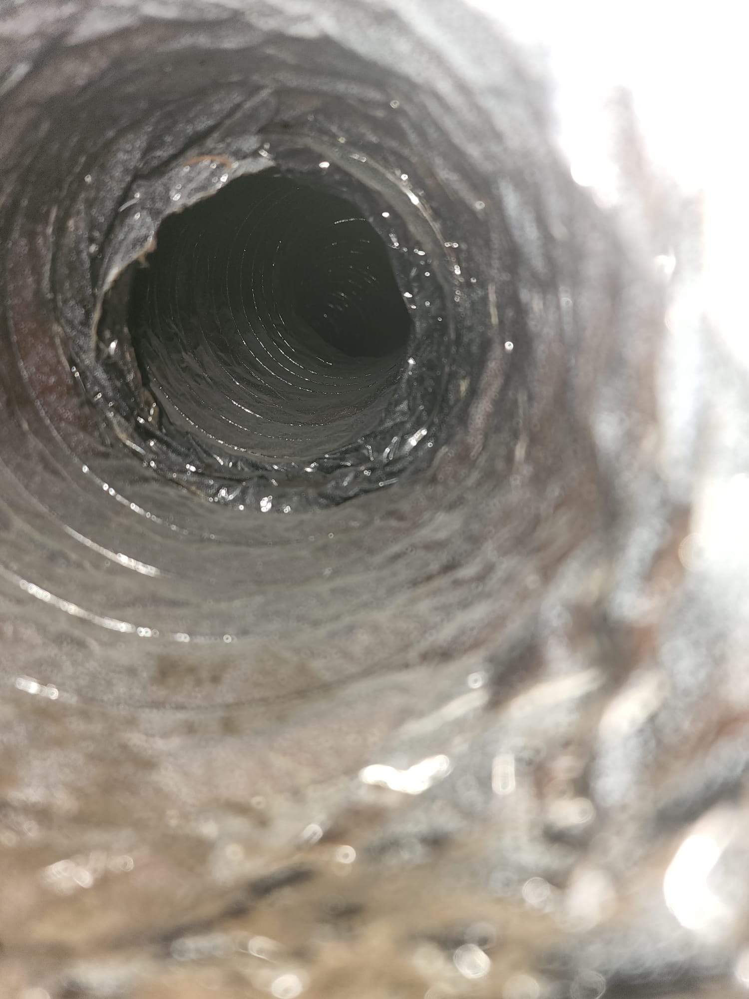 Holmes Beach AC Mold Deep Cleaning by Ampm Restoration Services