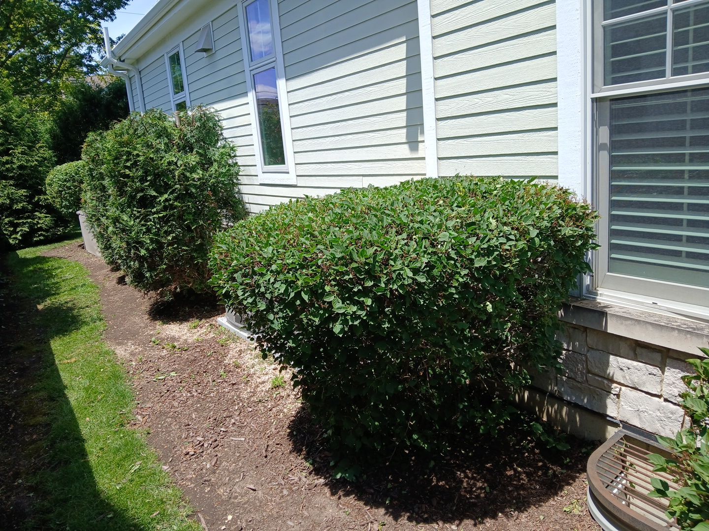 Lisa C. - Arlington Heights, IL by A&N