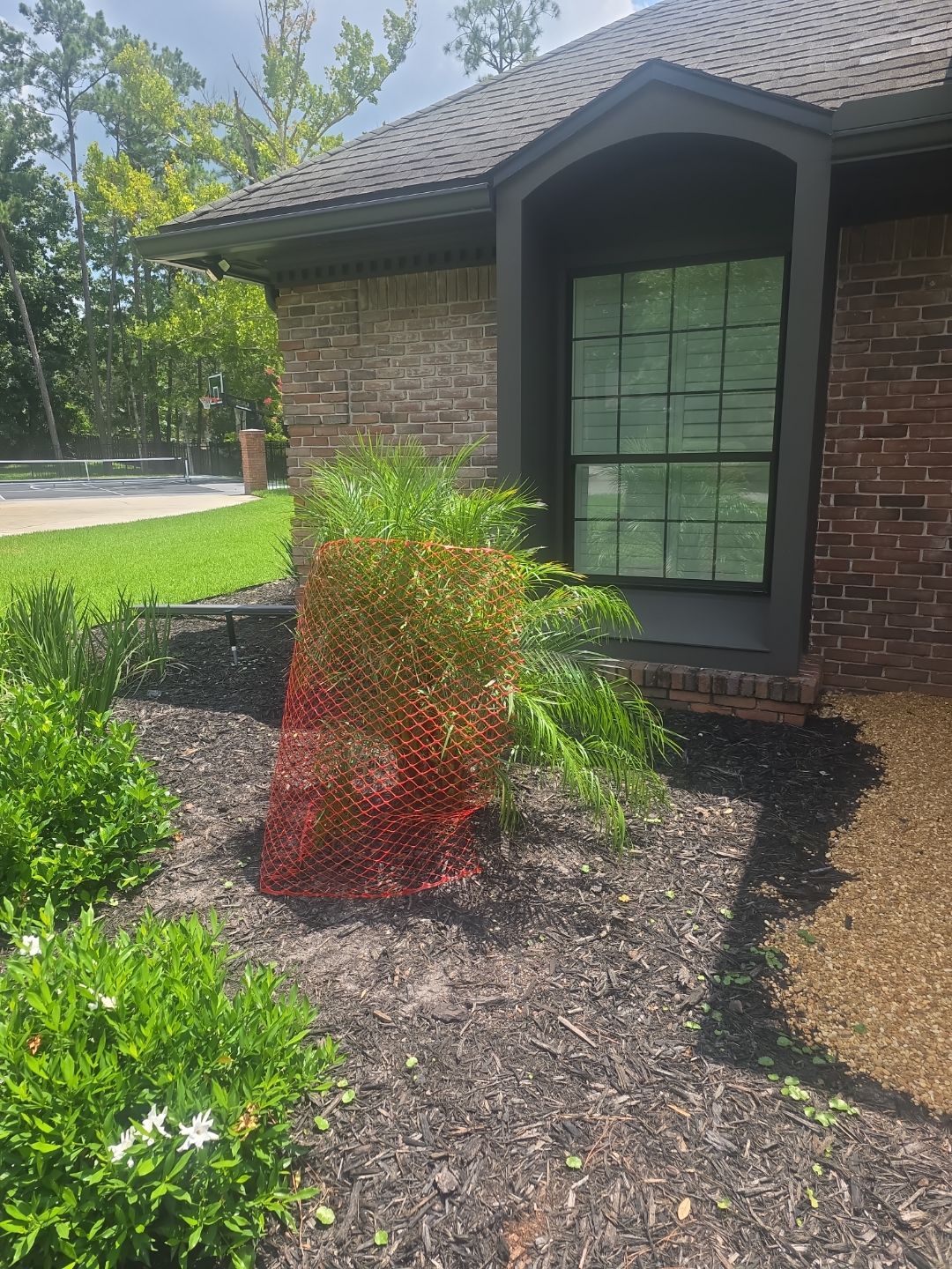 Deerwood Resident | Sod & Palm Replacement  by ProGreen Services