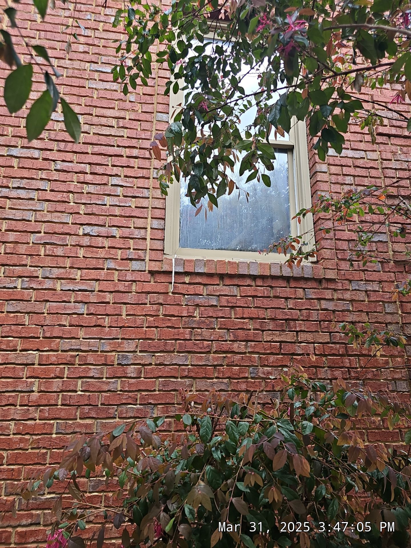 Hoyt Project in Birmingham by The Window Source