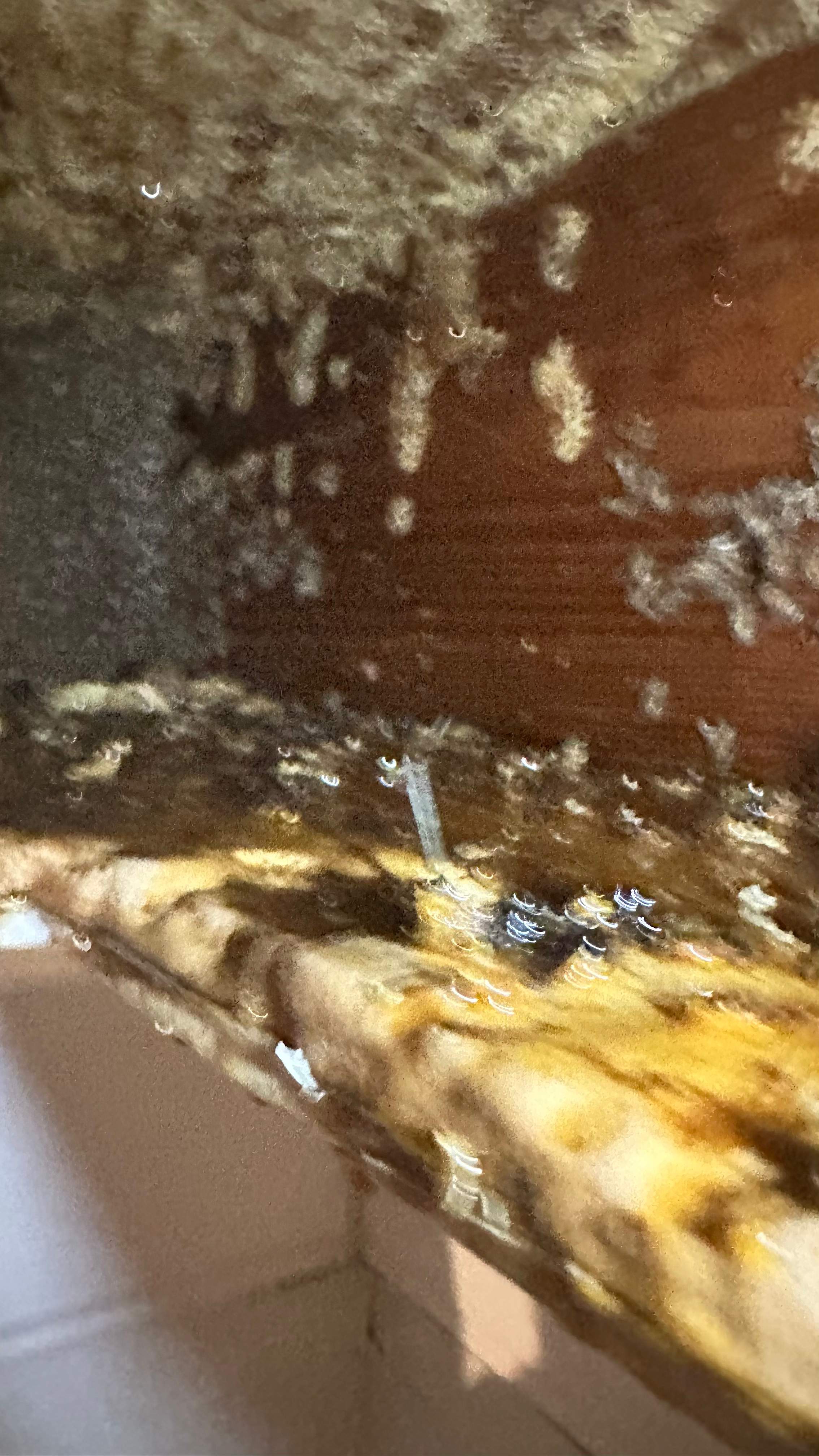 Interior Ceiling by Rockwall Honey Bee Company