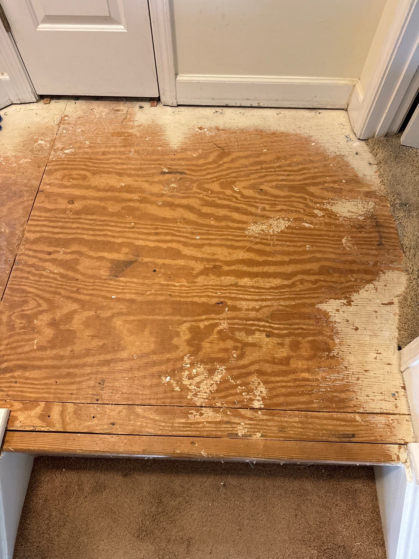 LVP Flooring Install! by A Step Above Handy LLC