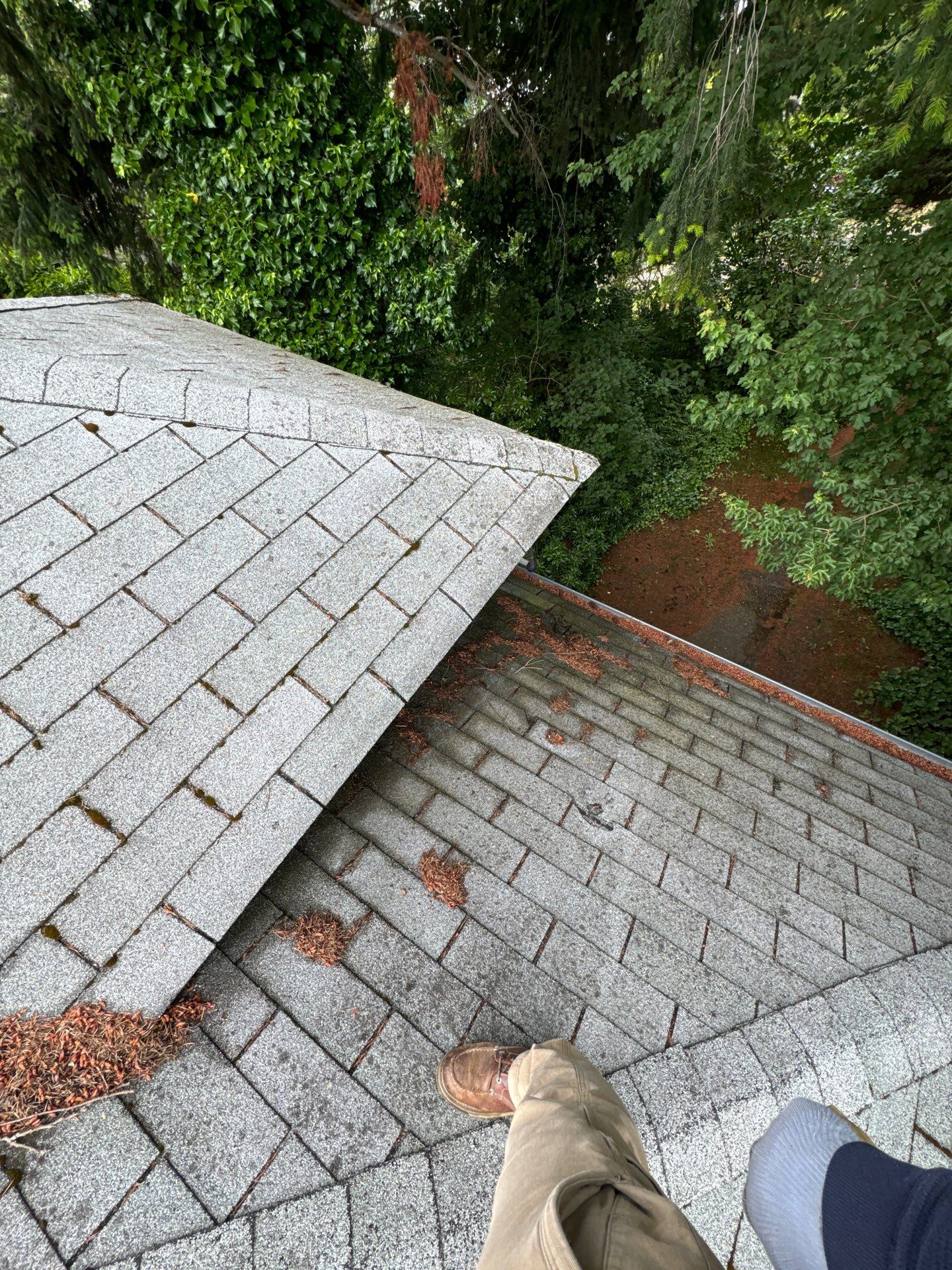 Project in Seattle by Peaks and Valleys Construction