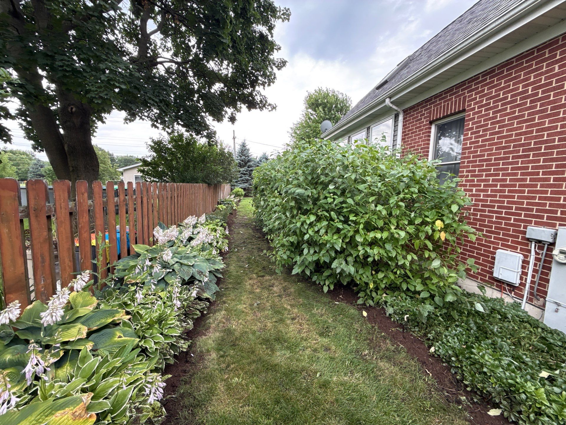 Rob M. - Arlington Heights, IL by A&N 