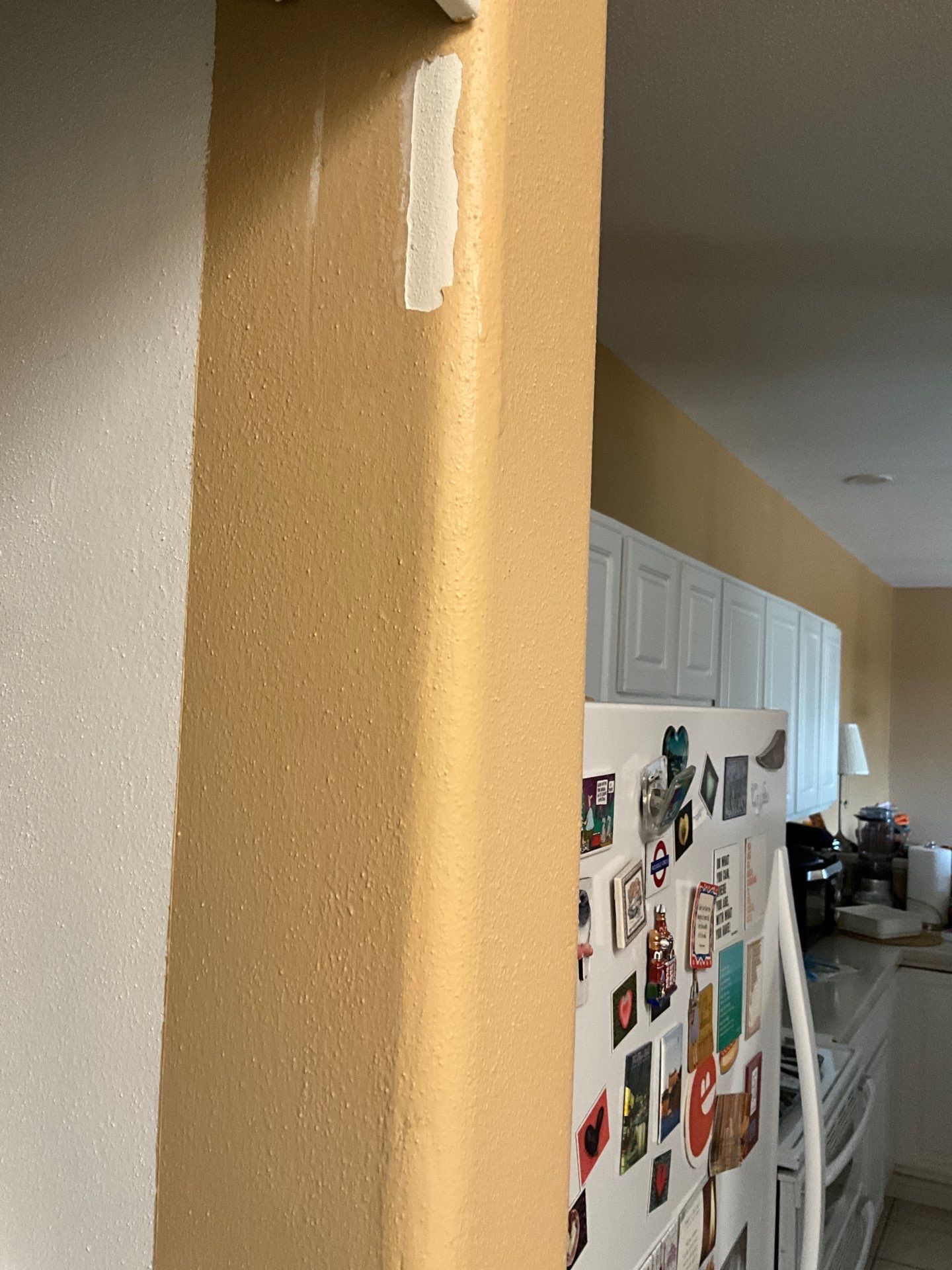 Interior Trim Painting and Garage Door Refinishing in Franklin by OCS Contracting Services