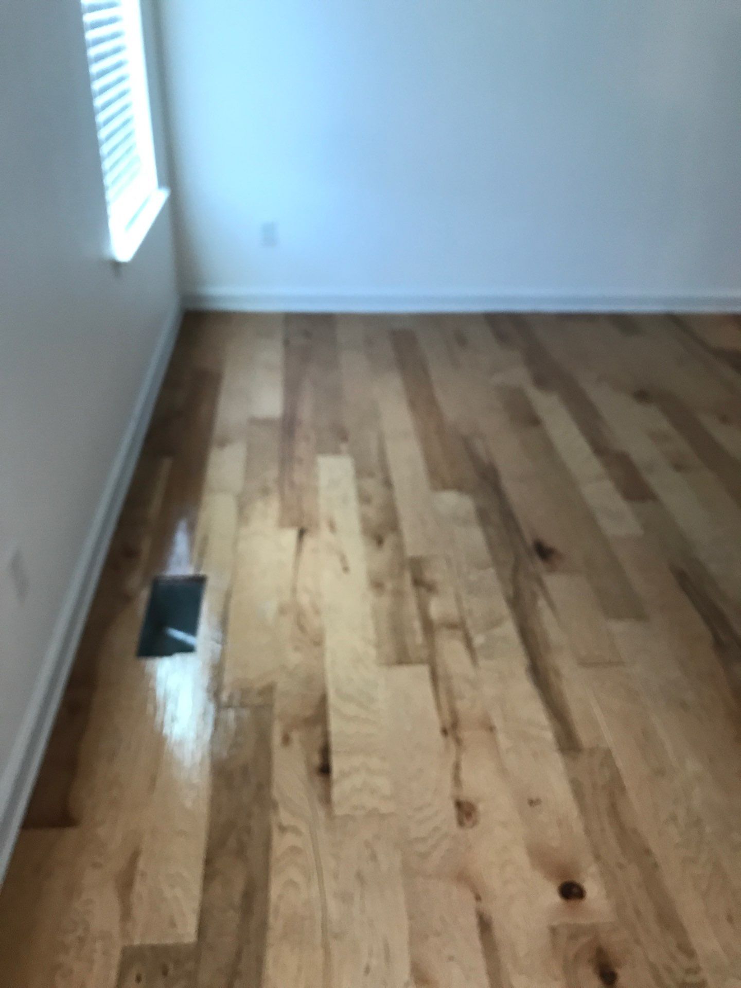 Hardwood Renewal by Monster Clean