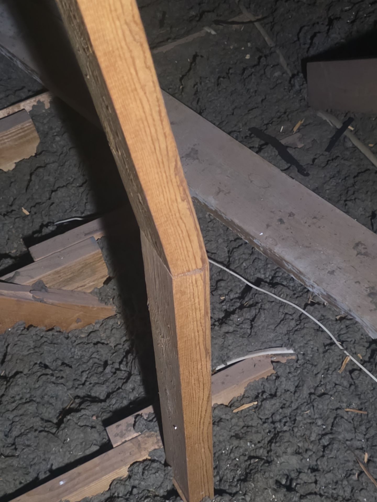 Inside and Outside by REPS OF TEXAS