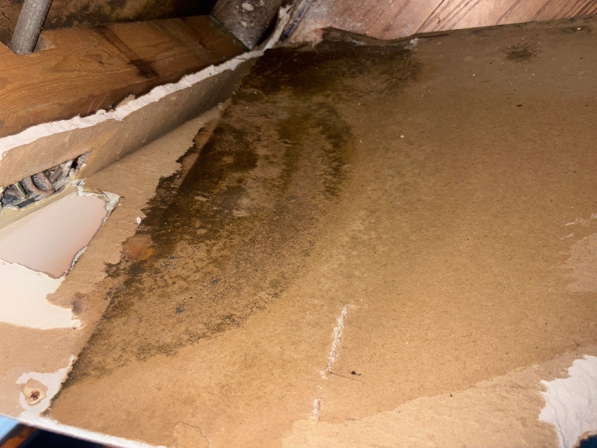 Commercial Mold Damage In Sarasota by Ampm Restoration Services