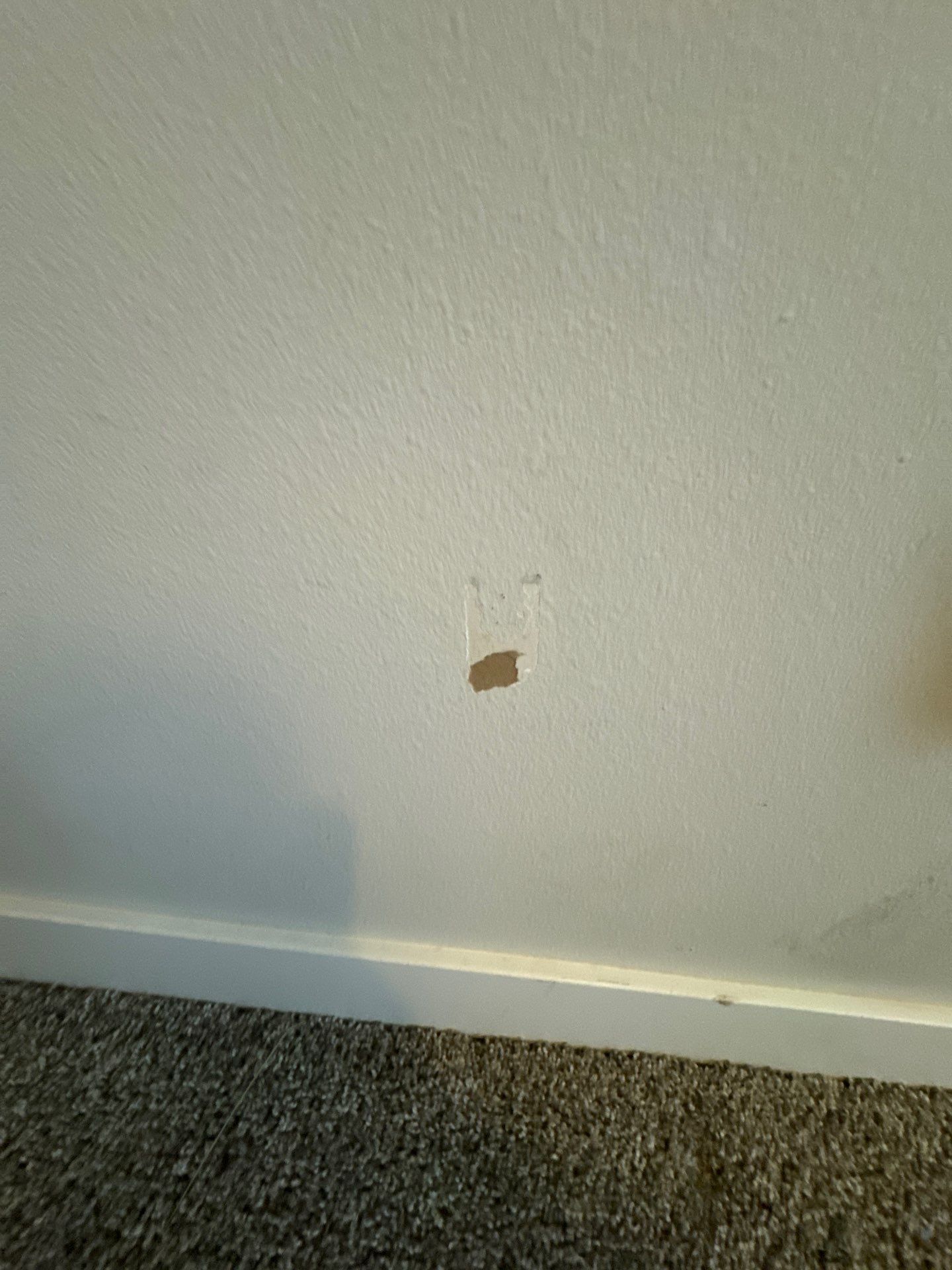 Project in Ankeny by Midwest Paint LLC