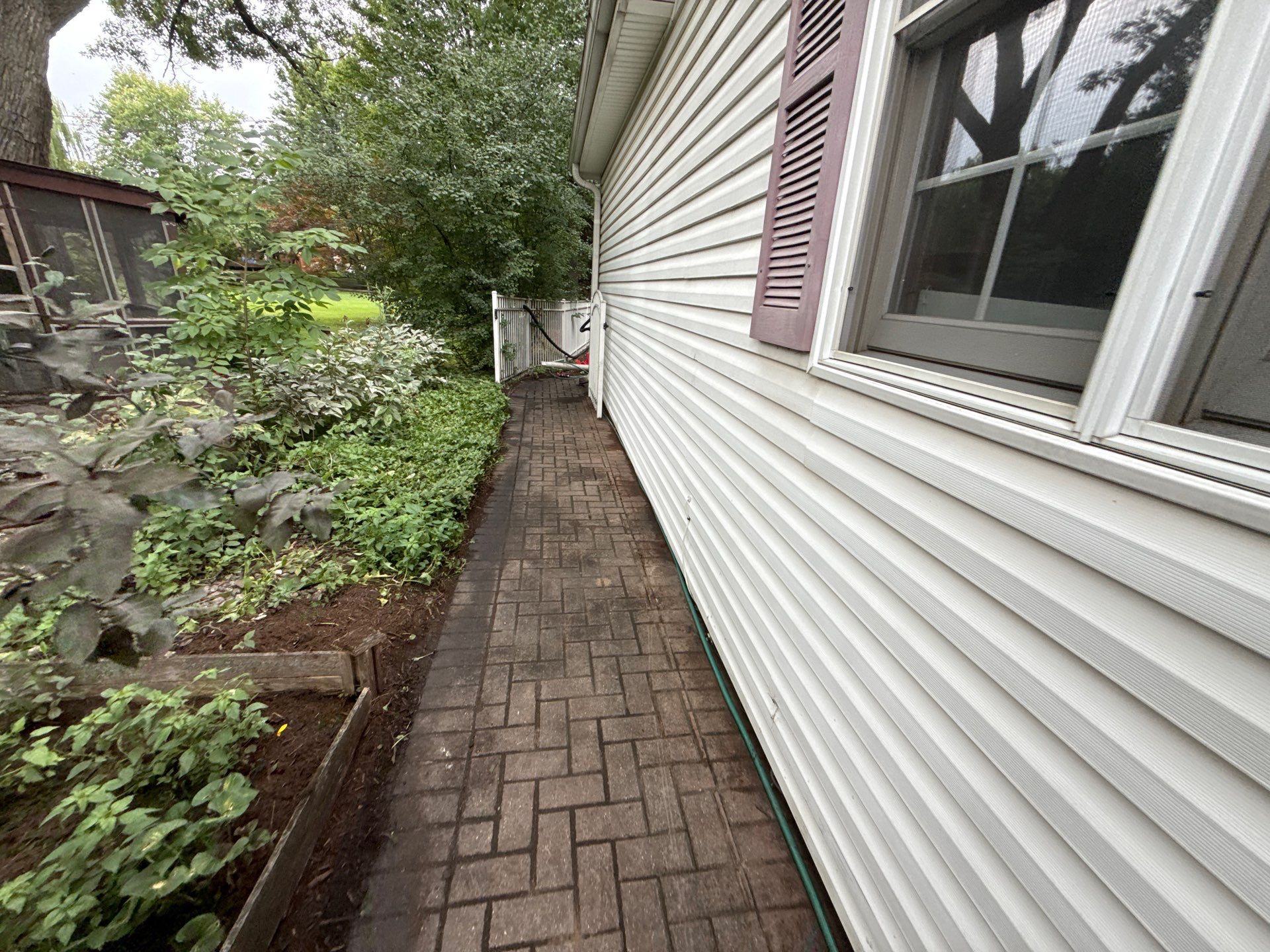 Steven L. - Park Ridge, IL by A&N