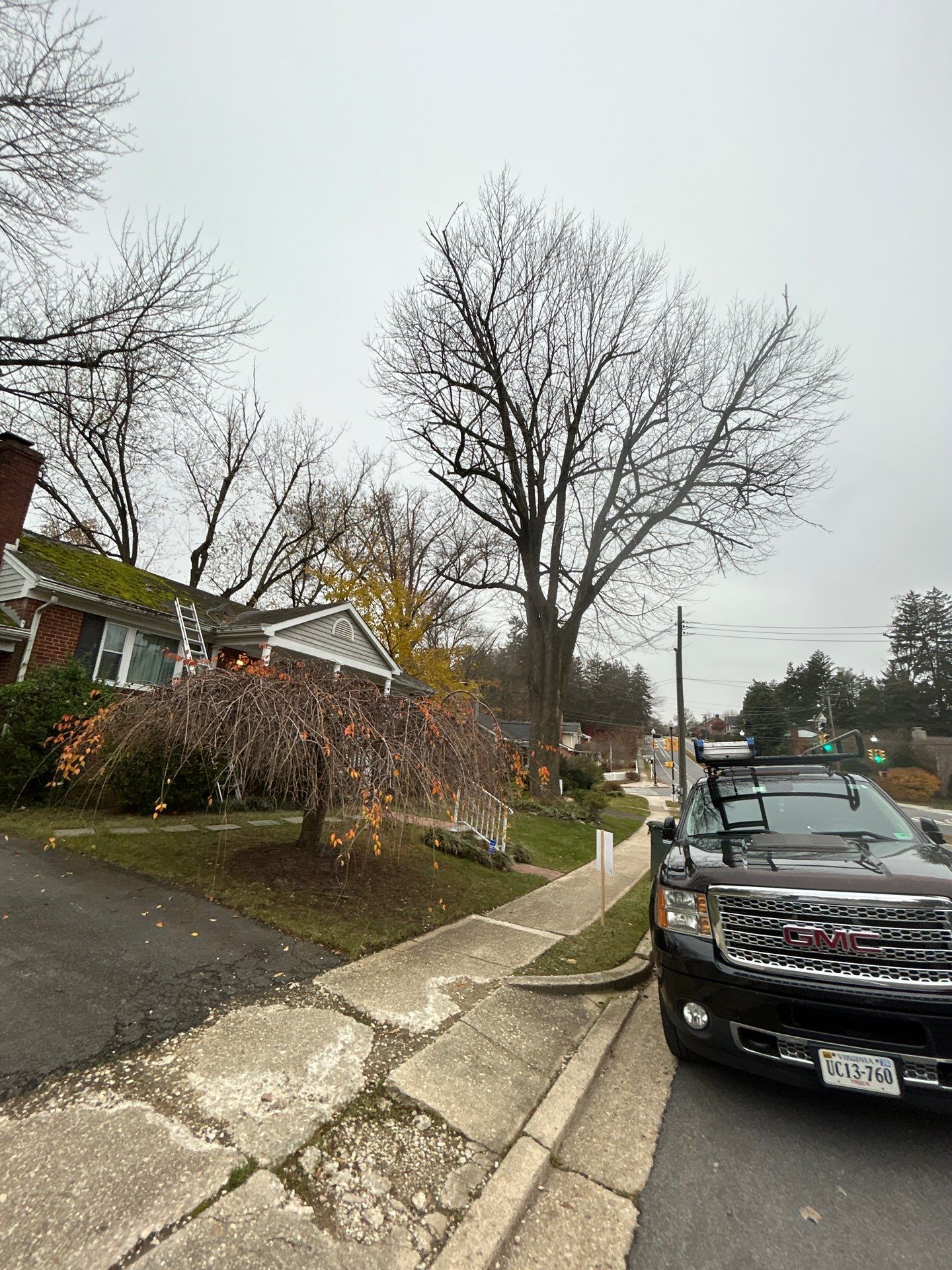 Arlington :Residential Roof Replacement with CertainTeed Landmark Pro in Max Def Red Oak  by RM Banning, Inc.