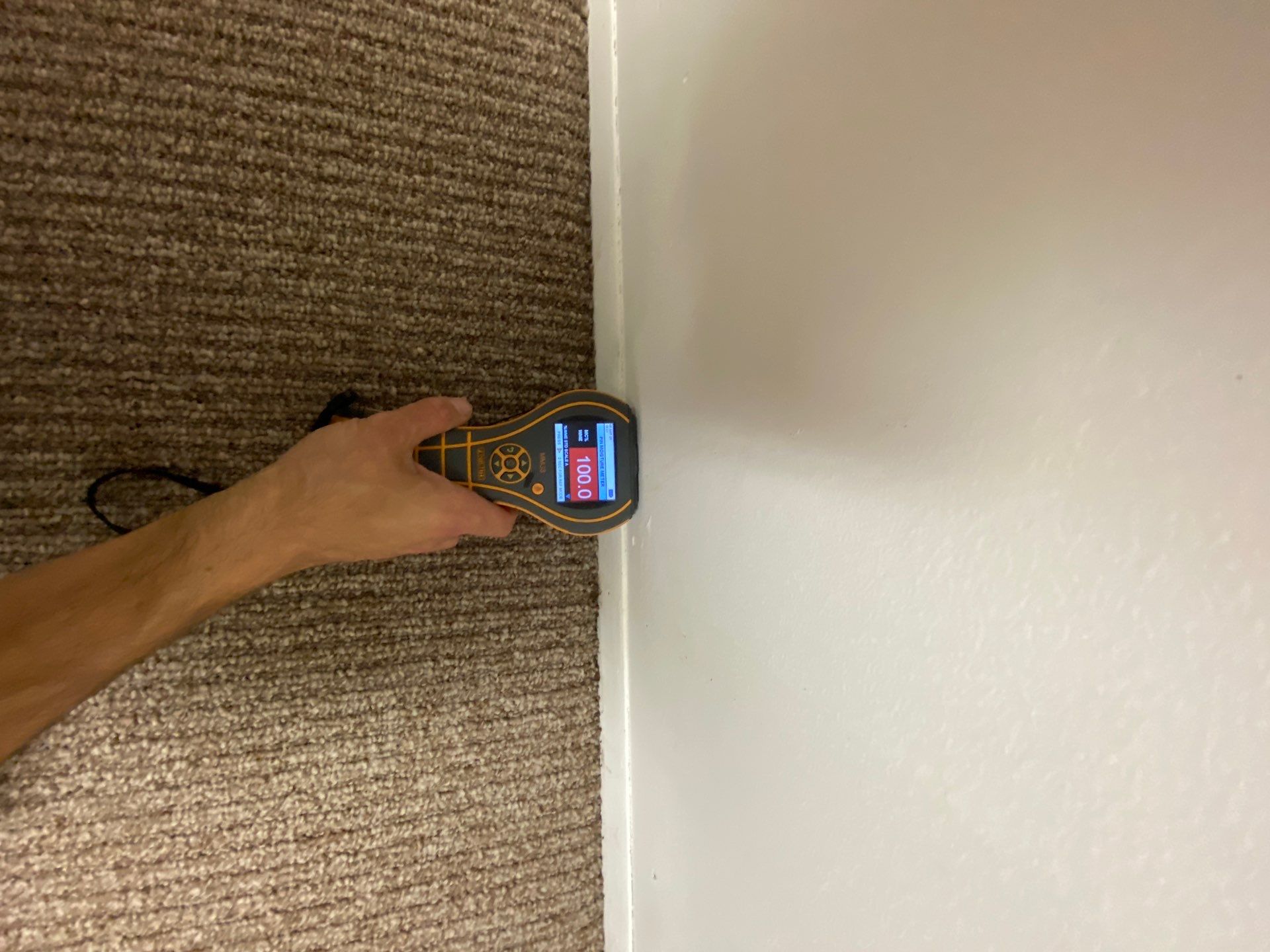 Project in Farmington Hills by EzDry Water Mitigation & Property Restoration