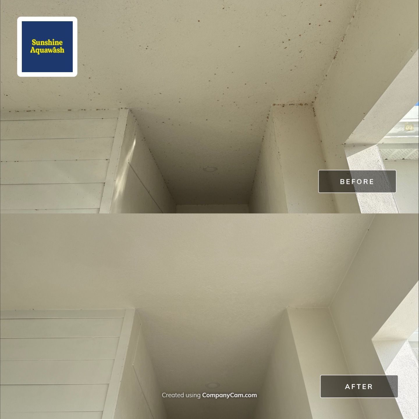 Spider Web Removal, House Wash & Lanai Cleaning in Apollo Beach, FL by Sunshine AquaWash