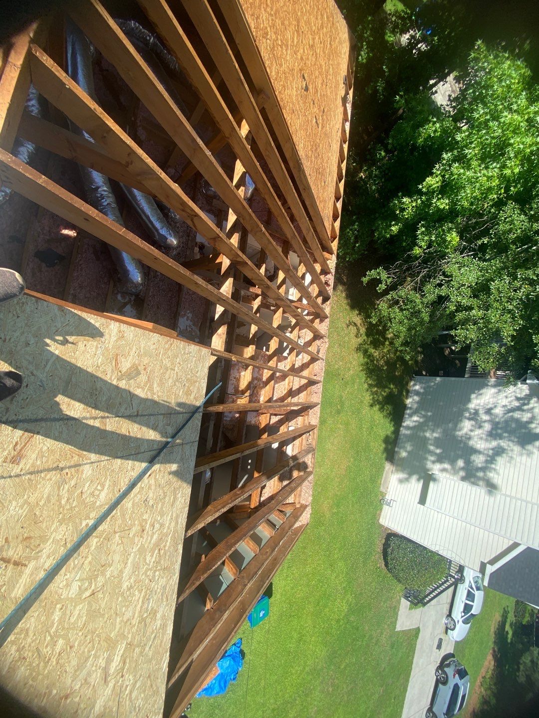 Rotten Wood by Roof Bullies