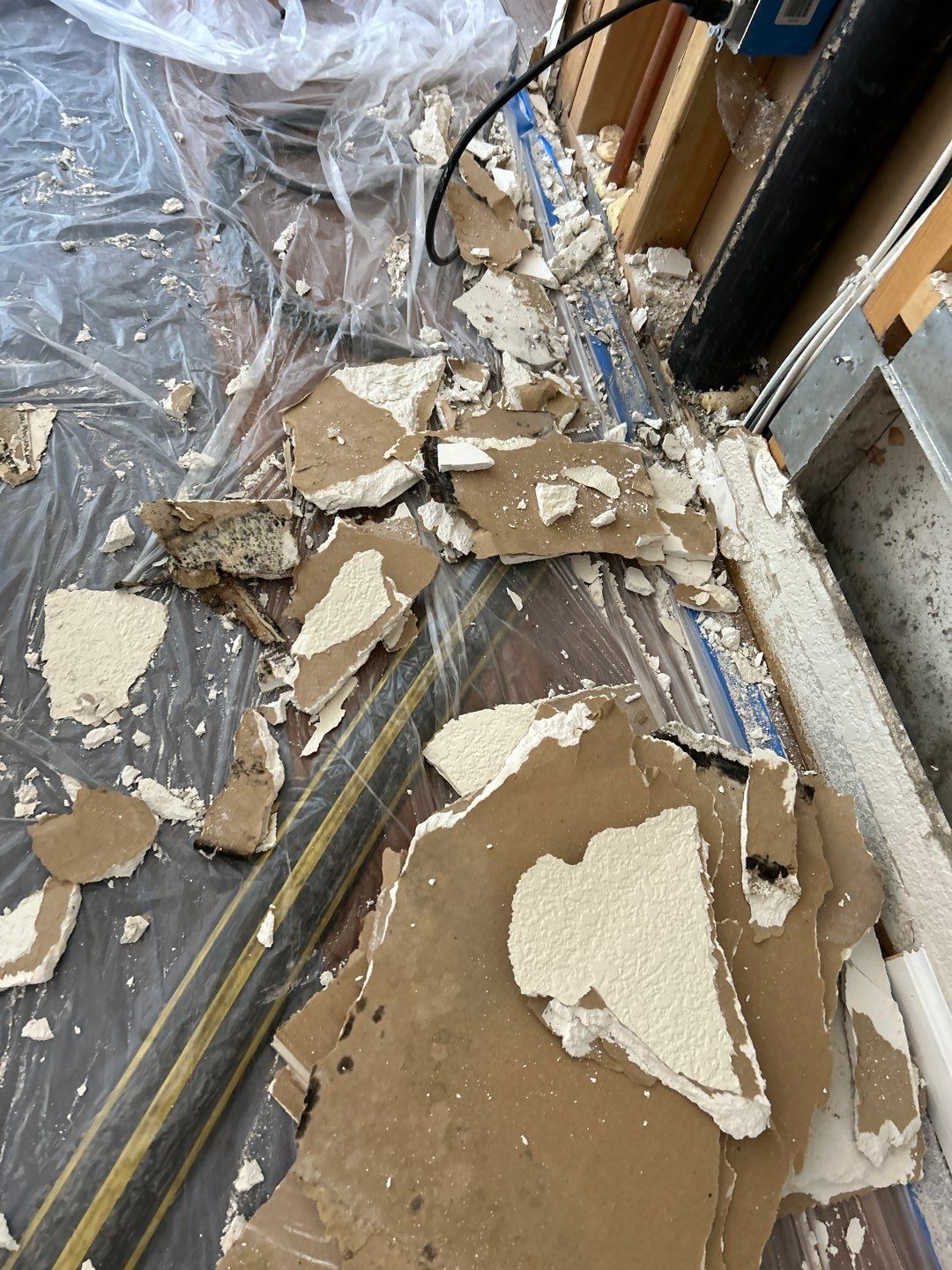 Mold Remediation by Accountable Home Services