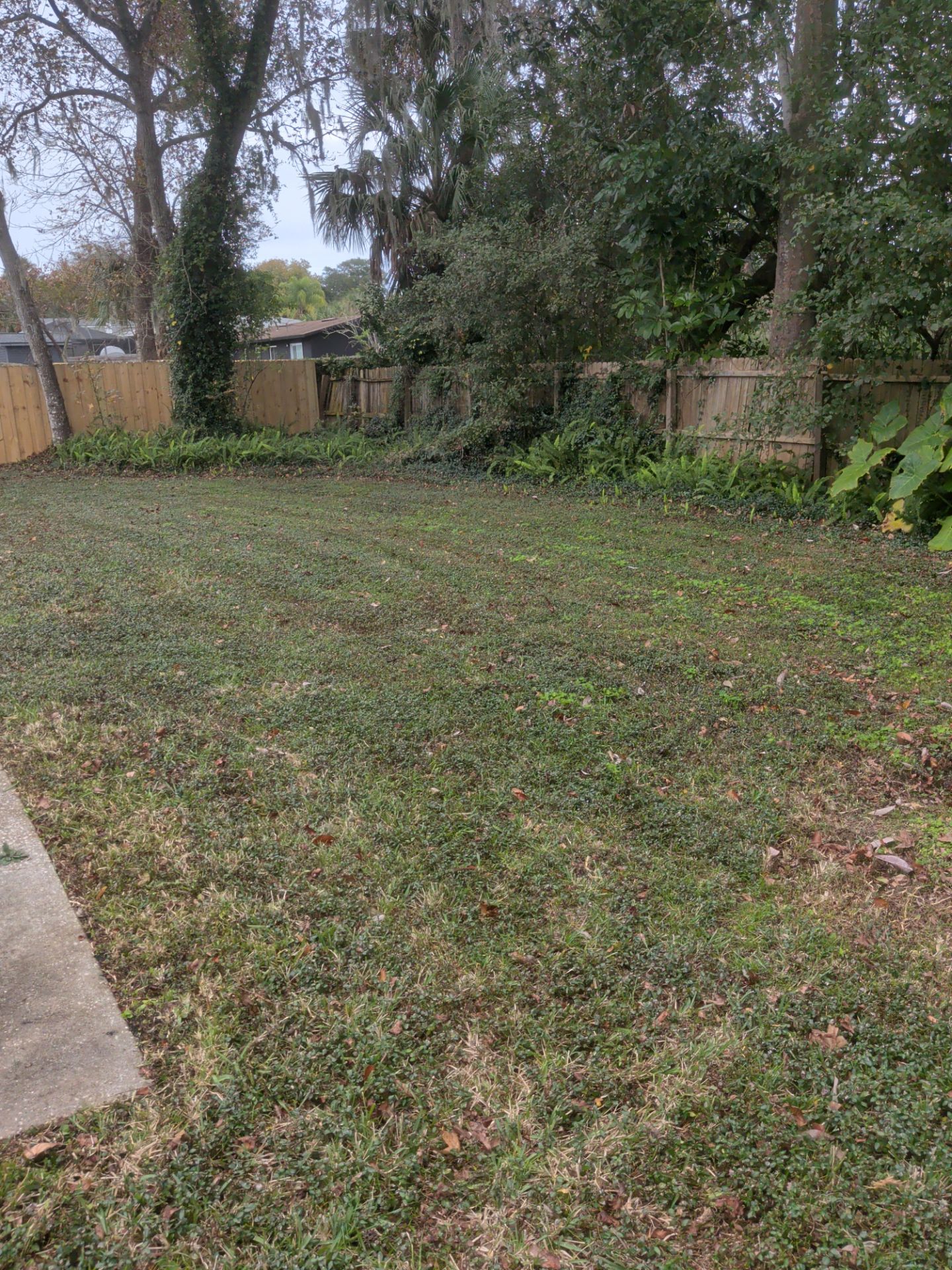 Pressure Washing/Soft Wash & Lawn Care Service — Jacksonville Beach Area by Harmoni Home Services