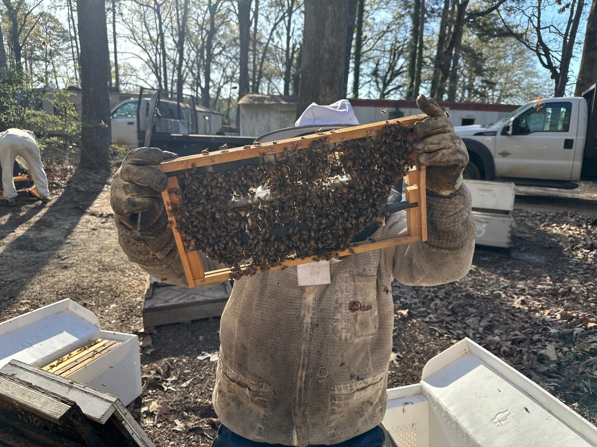 BeeGirl ETX HQ by Rockwall Honey Bee Company