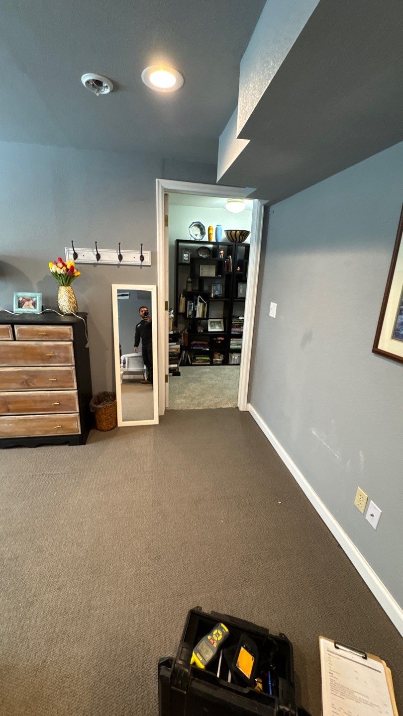 Mold Project in Thornton by Accountable Home Services