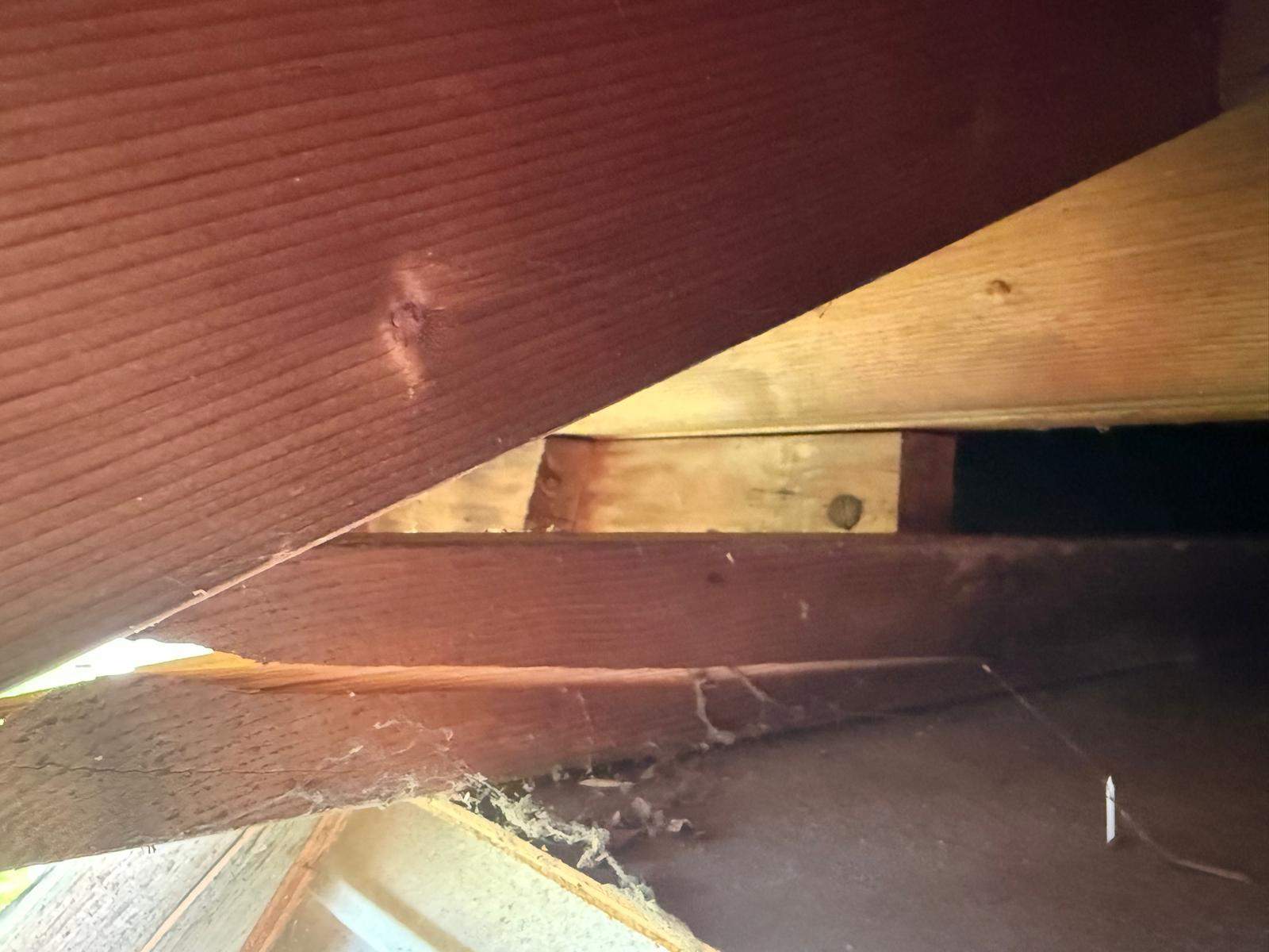 Storm Damage Repairs by Stofan Construction LLC