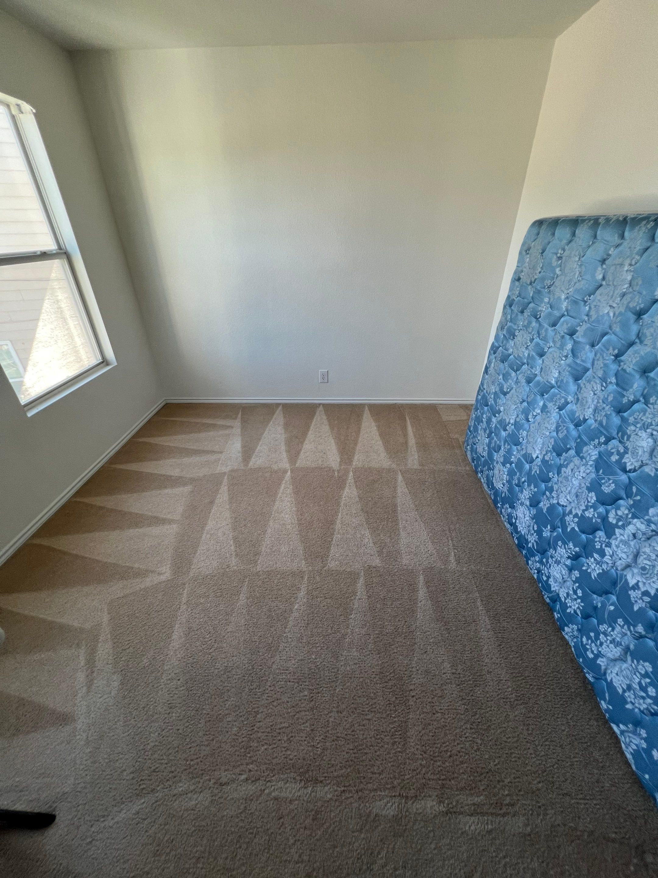 the service shown is carpet cleaning with visible cleaning patterns on the carpet and an unmade bed mattress in the corner