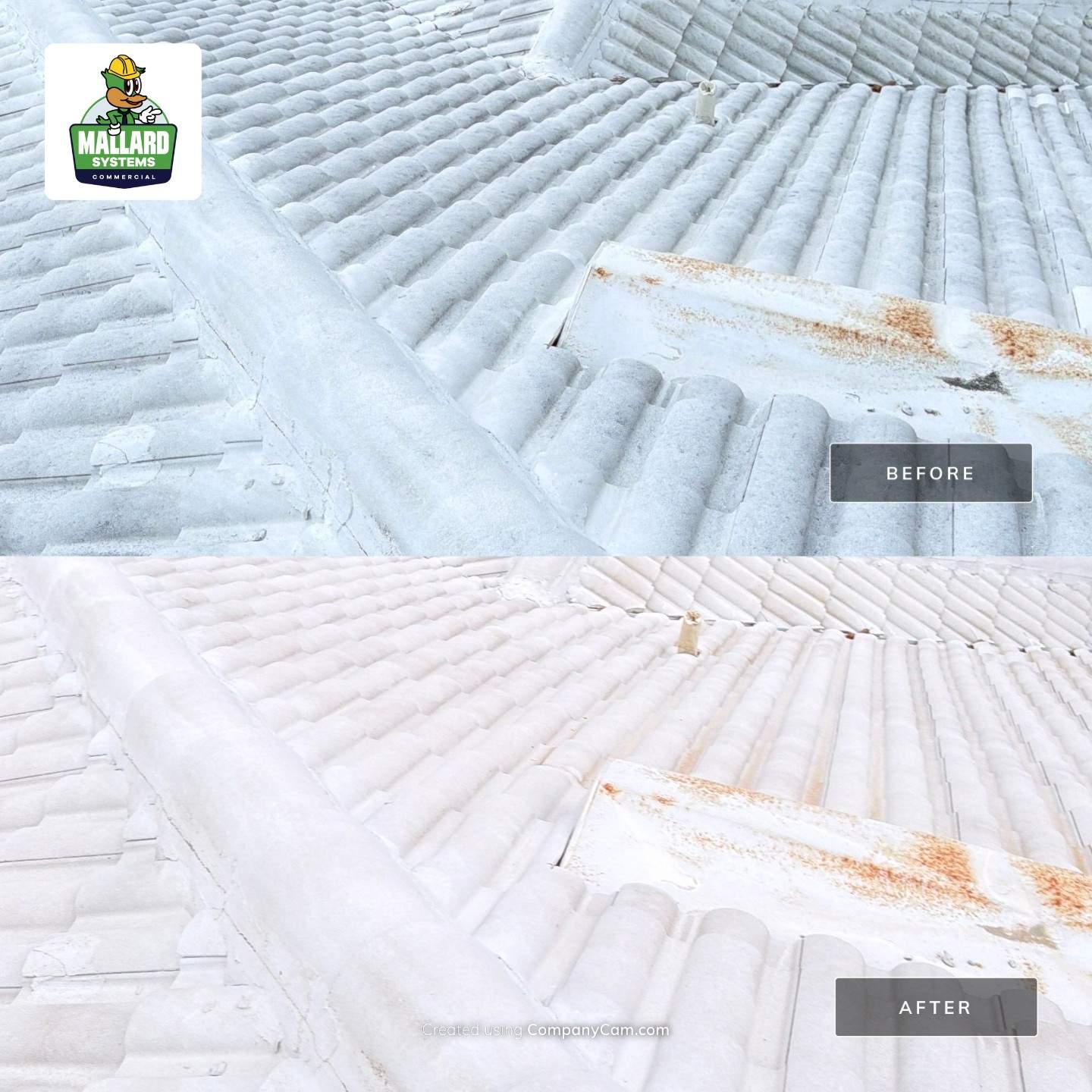 White Tile Roof Cleaning in Windermere by Mallard Systems