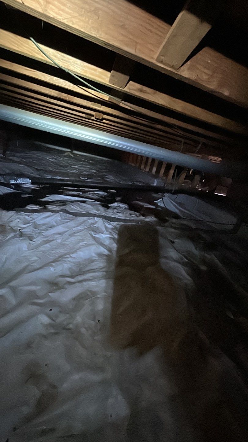 Sewage Backup by Accountable Home Services