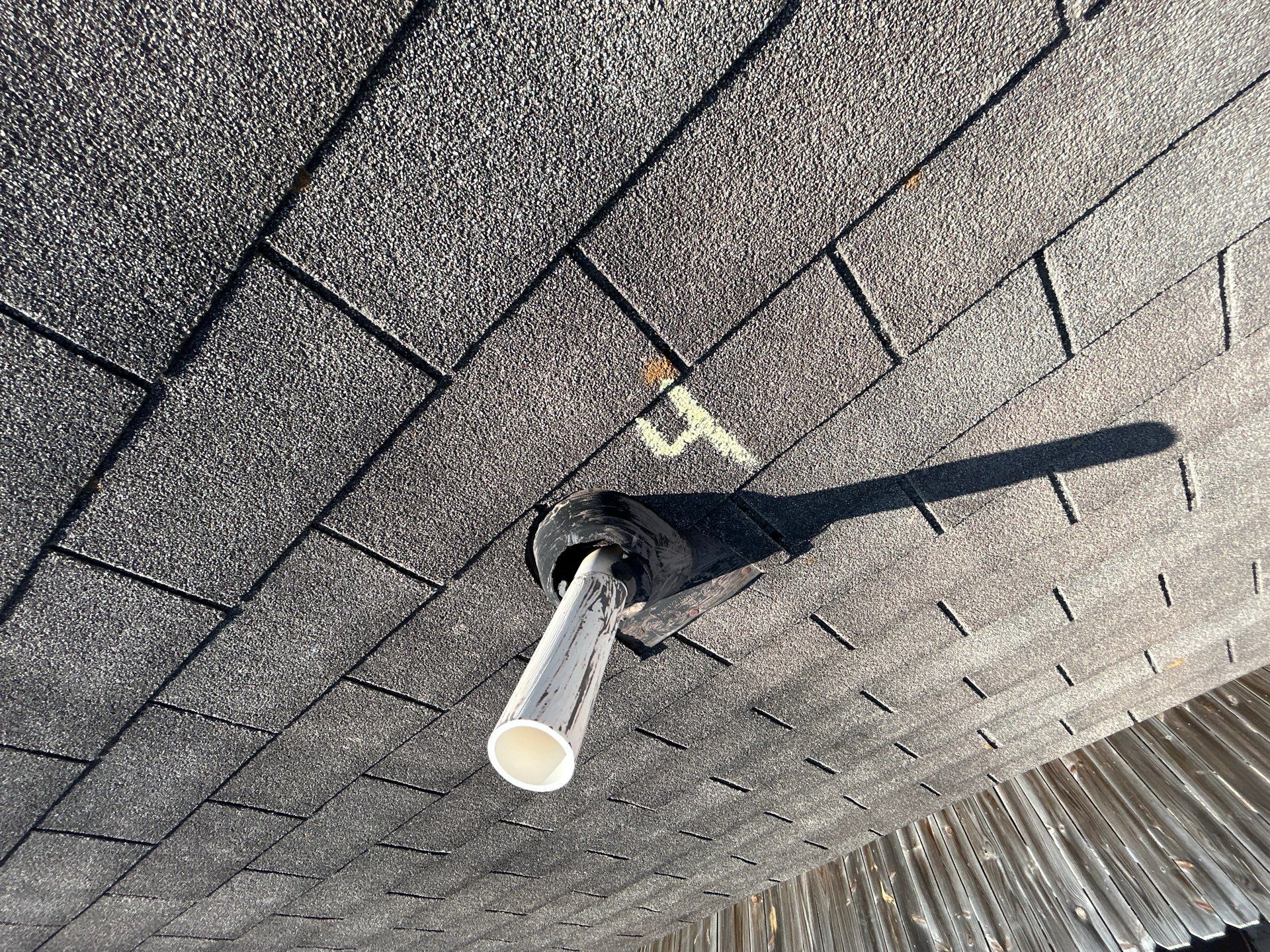 Miss Bridgette by REPS Austin Area Roofer