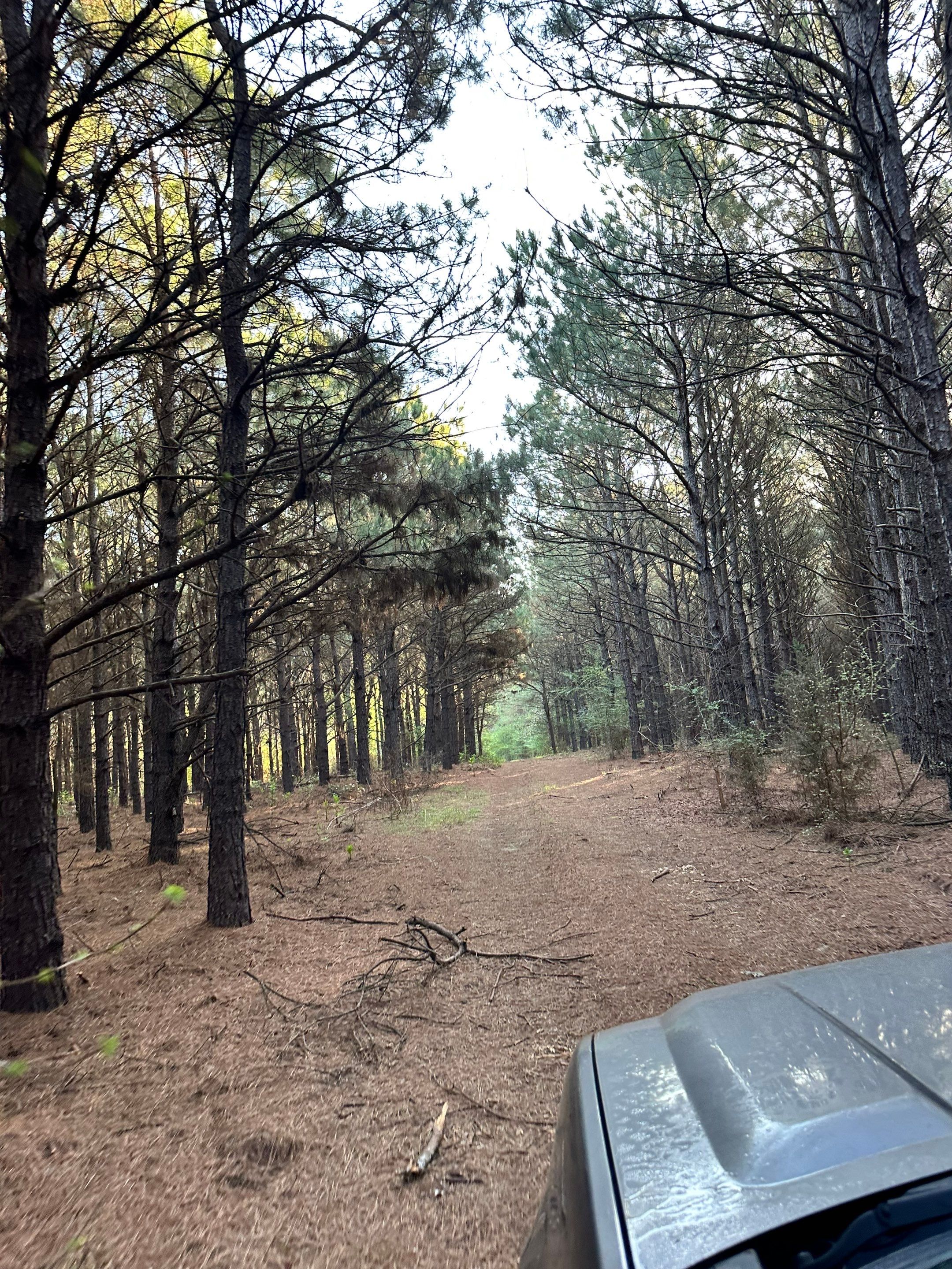 Tree Farm Apiary by Rockwall Honey Bee Company