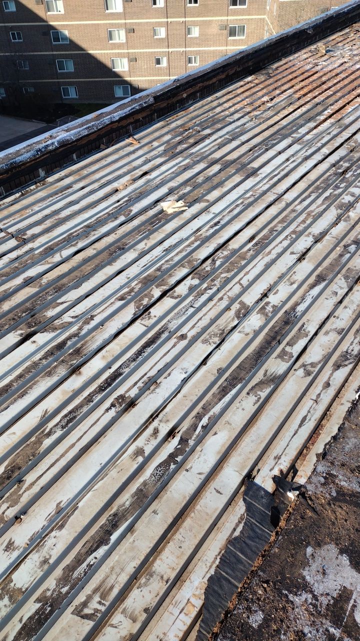 Commercial flat roof parma by Absolute Roofing and Construction