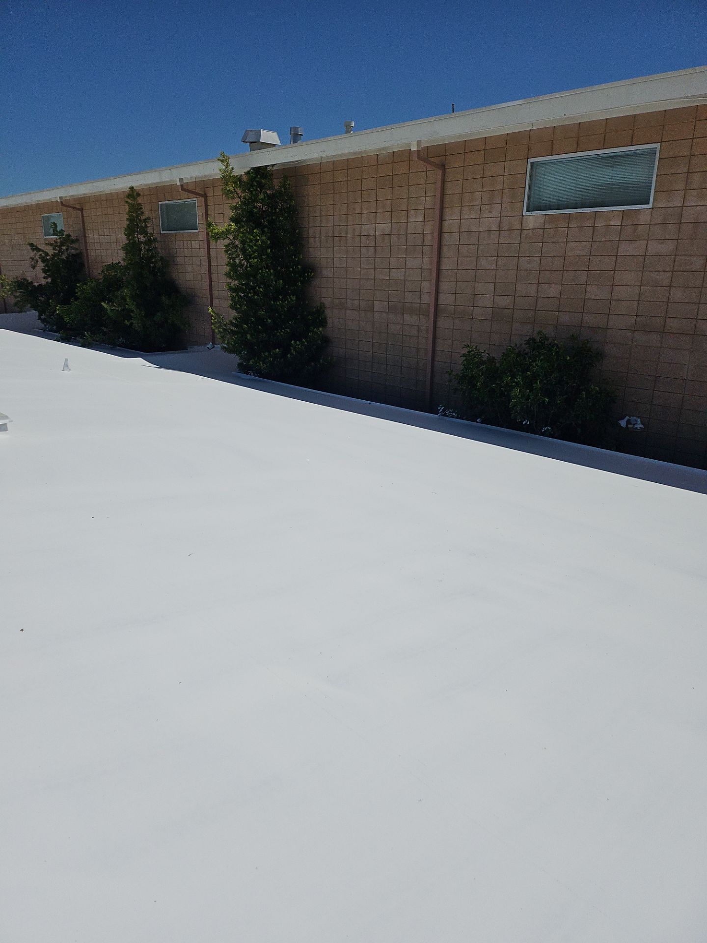 Single-ply restoration system using Benchmark/PUMA XL coatings over TPO single-ply roofing by Straight Edge Roofing Inc