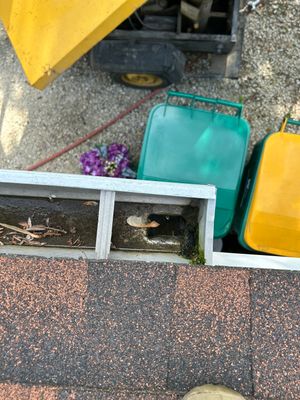 Turtle Shell gutter protection installation in Shorewood, IL 60404, photograph 2