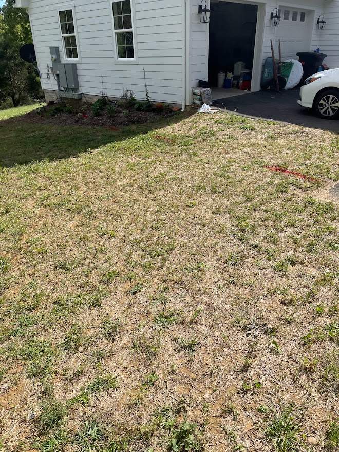 Clay street  by Back To Nature Landscaping & Construction