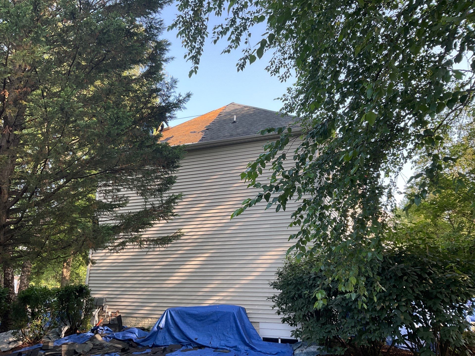 New Shingle Roof & New Gutters and downspouts with covers by Alpha Design Services