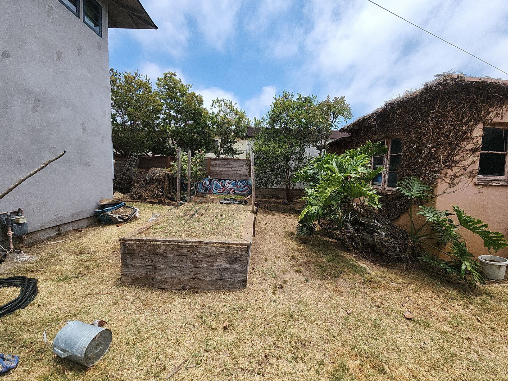 San Diego Landscape Clean Up by Yard Techs