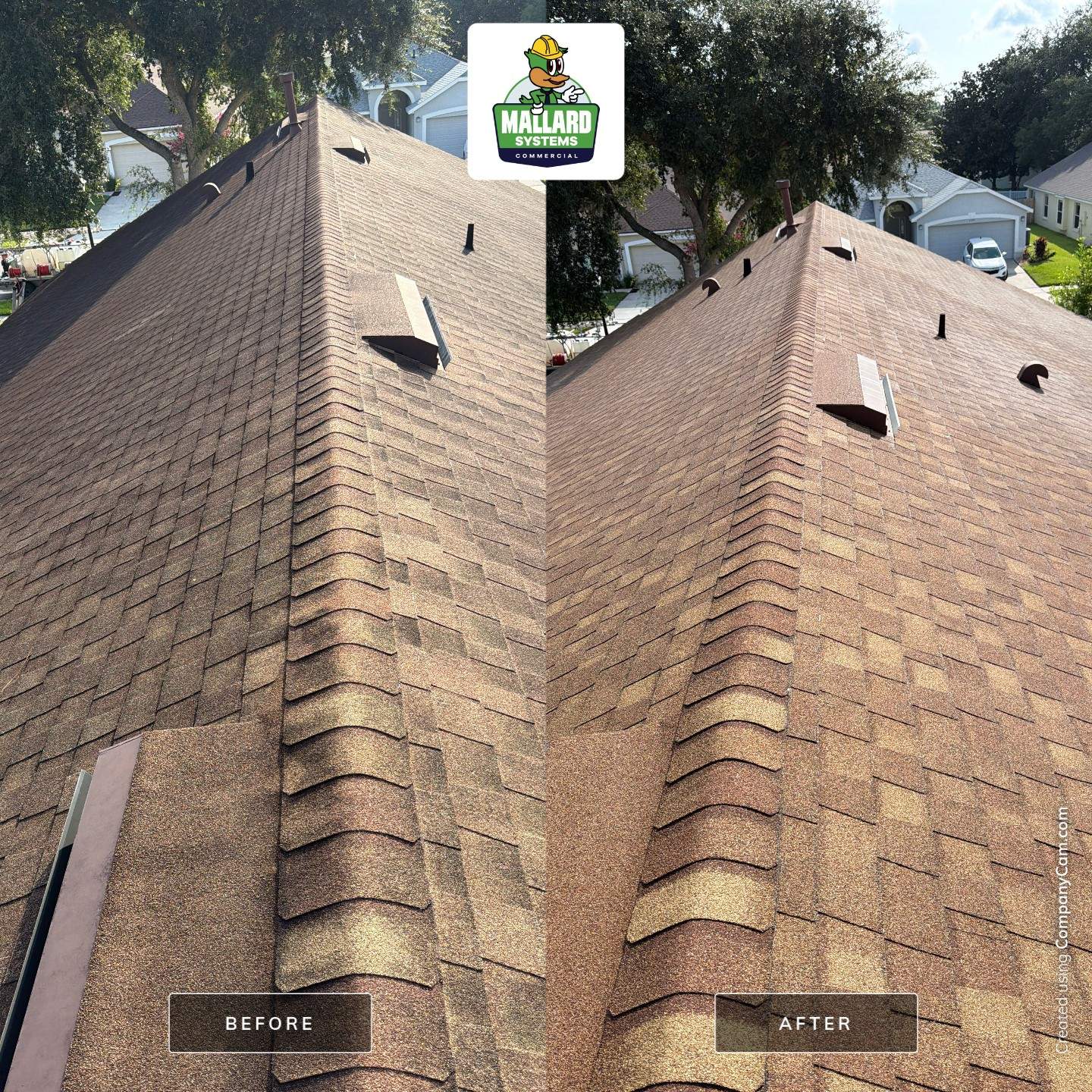 Professional Roof Cleaning in Waterford Lakes by Mallard Systems