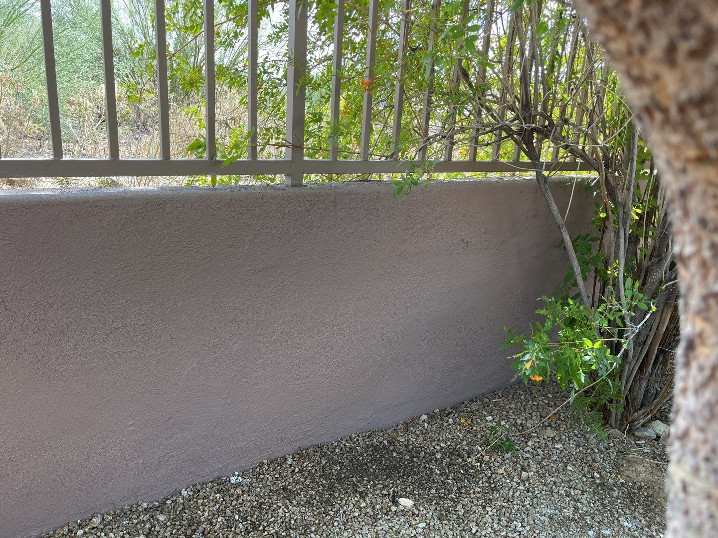 Exterior Painting & Garage Floor Coating - Scottsdale by Crash of Rhinos Painting & Garage Floors