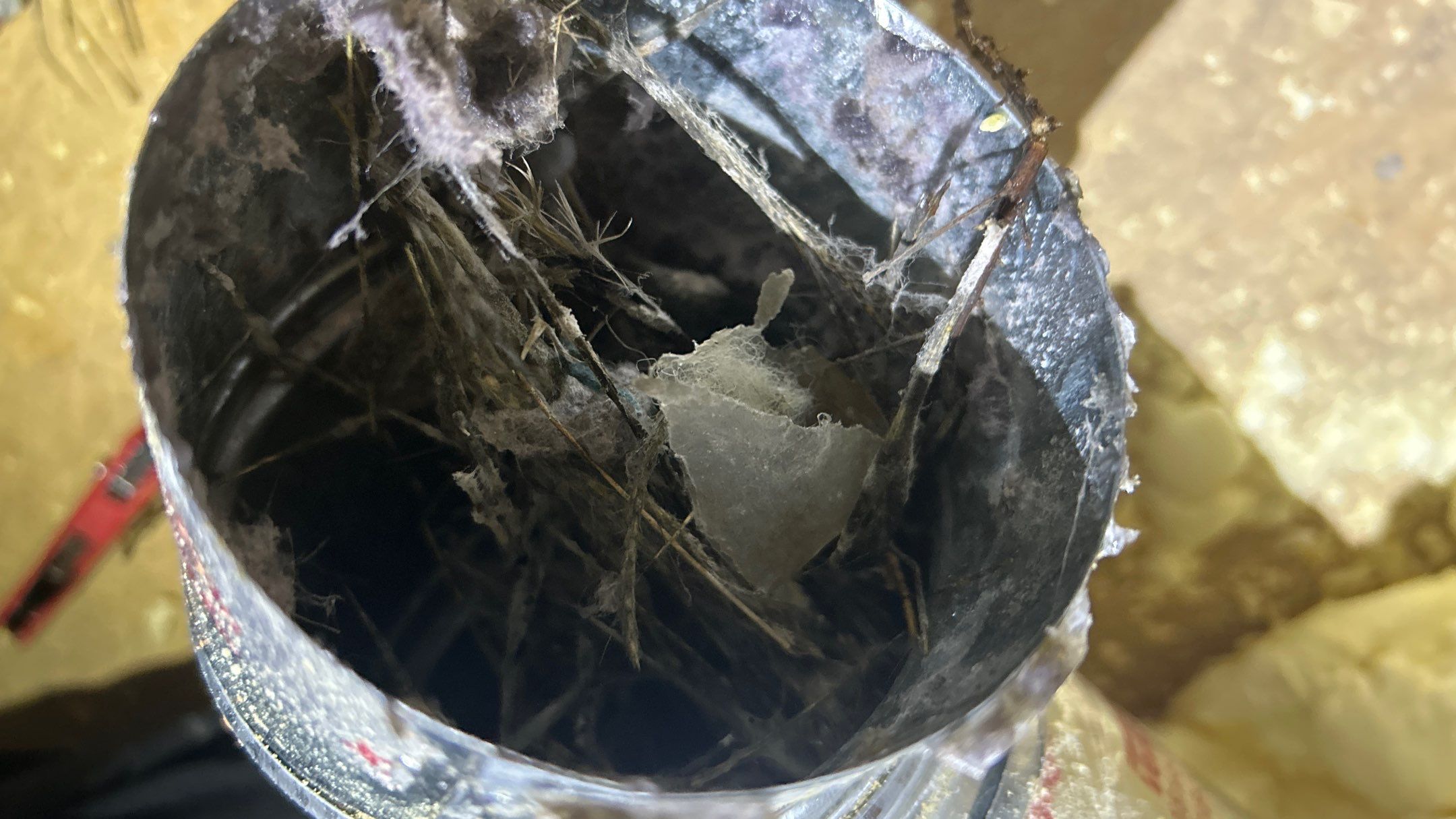 $0 Pop-In Visit — Dryer Vent Concern (Resolved) In San Antonio 78212 by Proud Pops