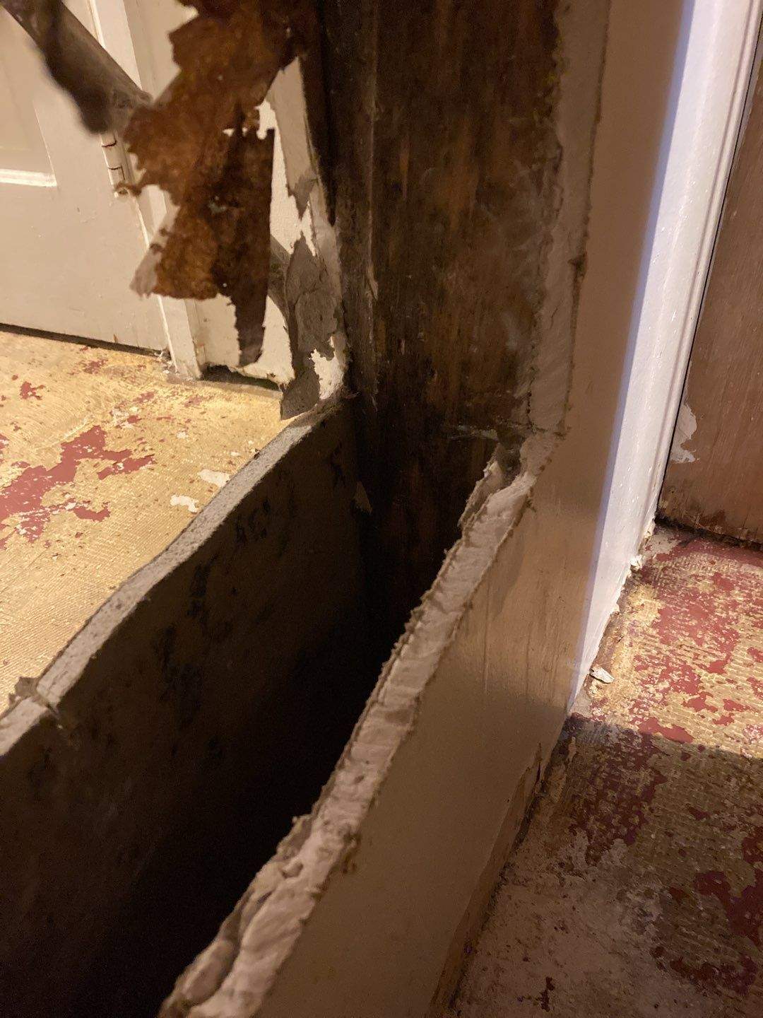 Mold Remediation in Basement by Accountable Home Services